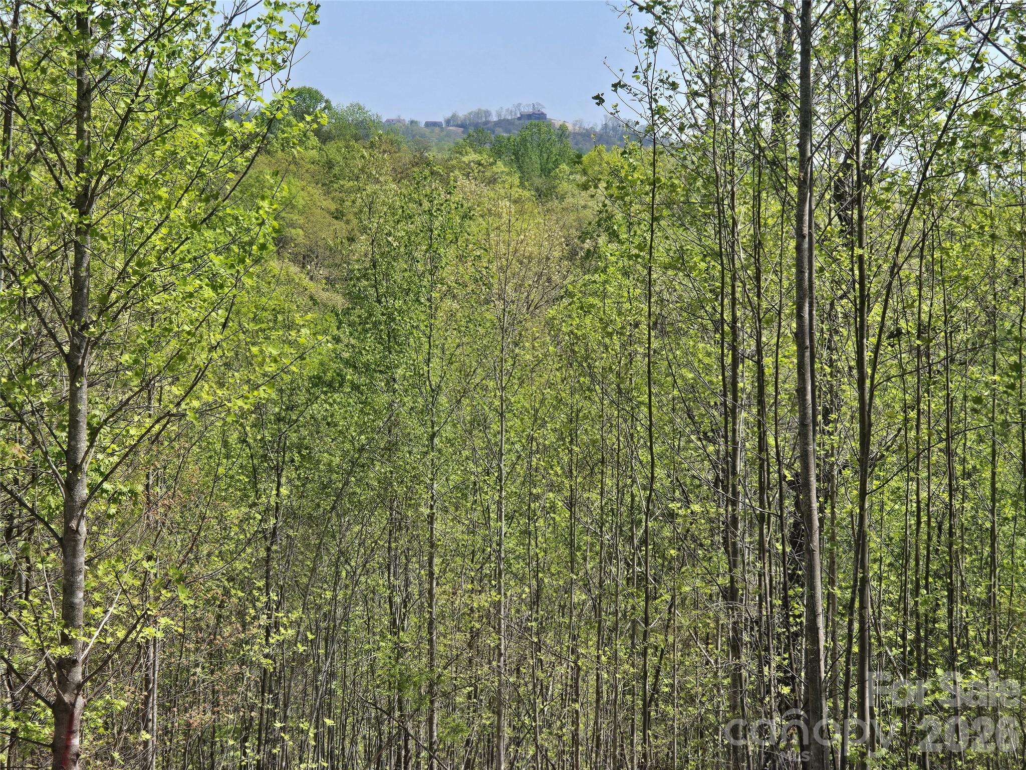 Lot 17 Touch Me Not Trail Property Photo 1