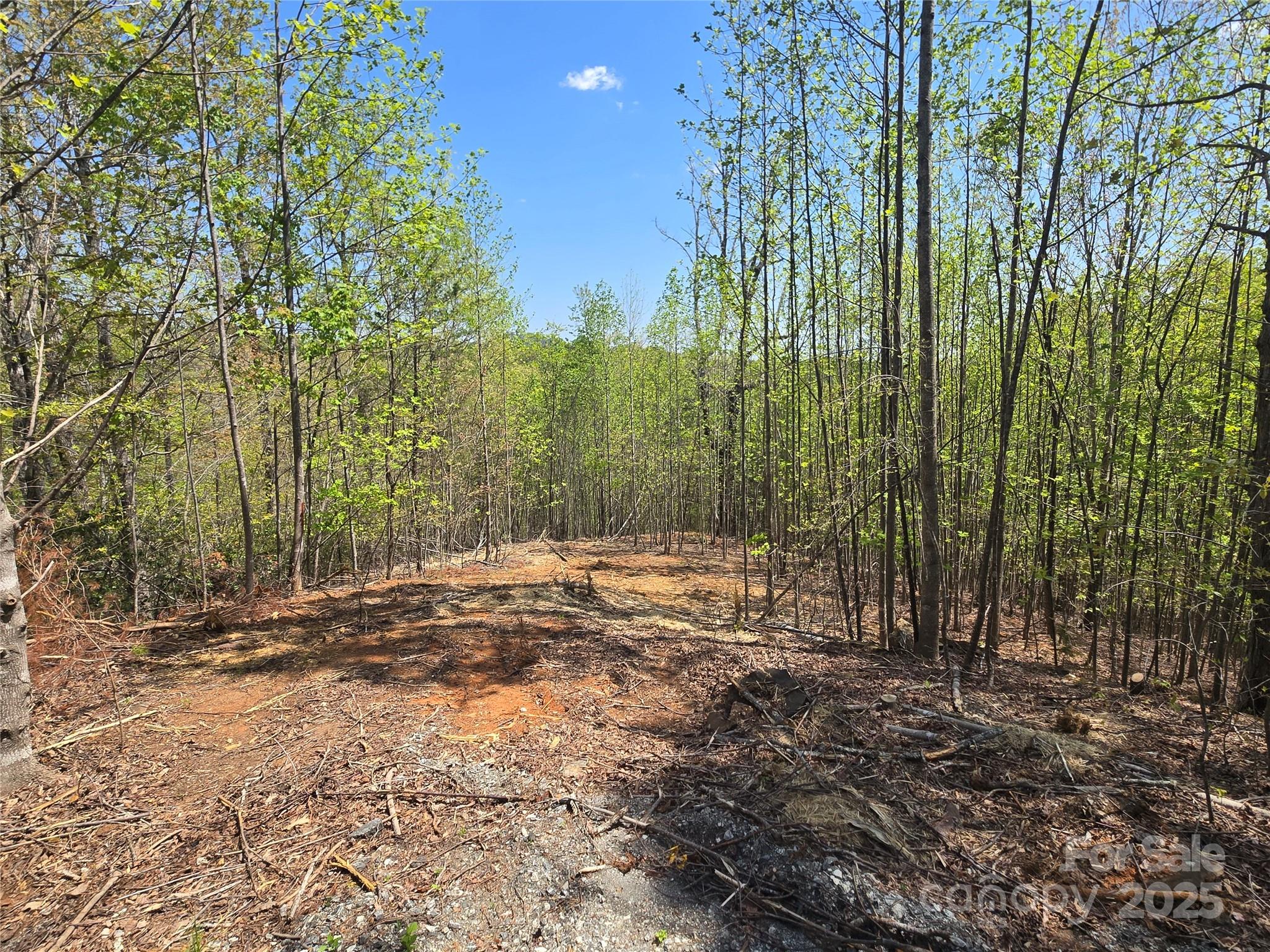 Lot 17 Touch Me Not Trail Property Photo 2