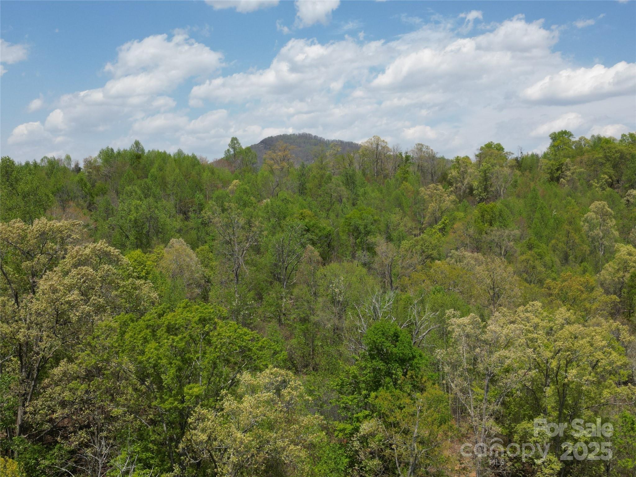 Lot 17 Touch Me Not Trail Property Photo 3
