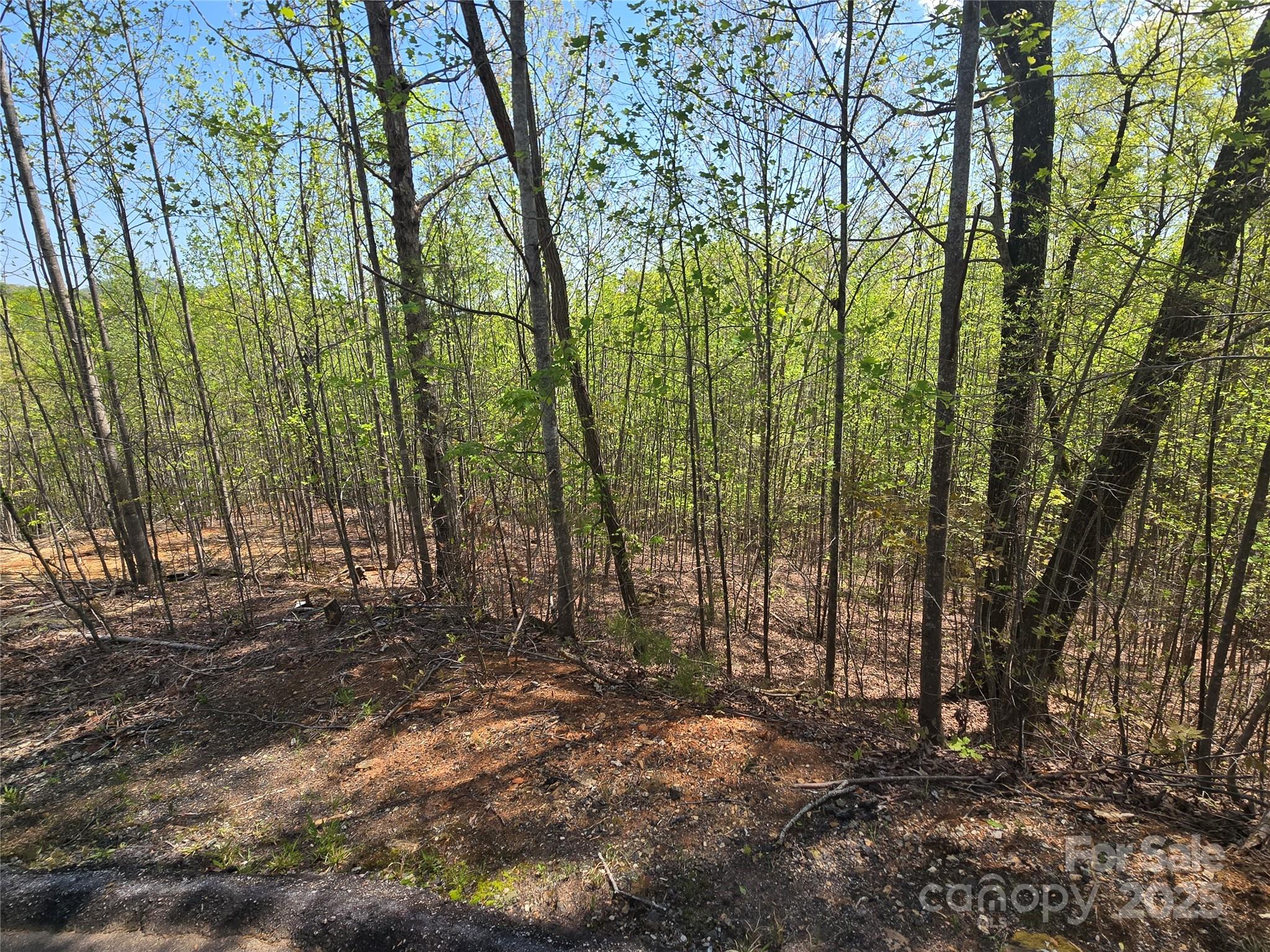 Lot 17 Touch Me Not Trail Property Photo 4