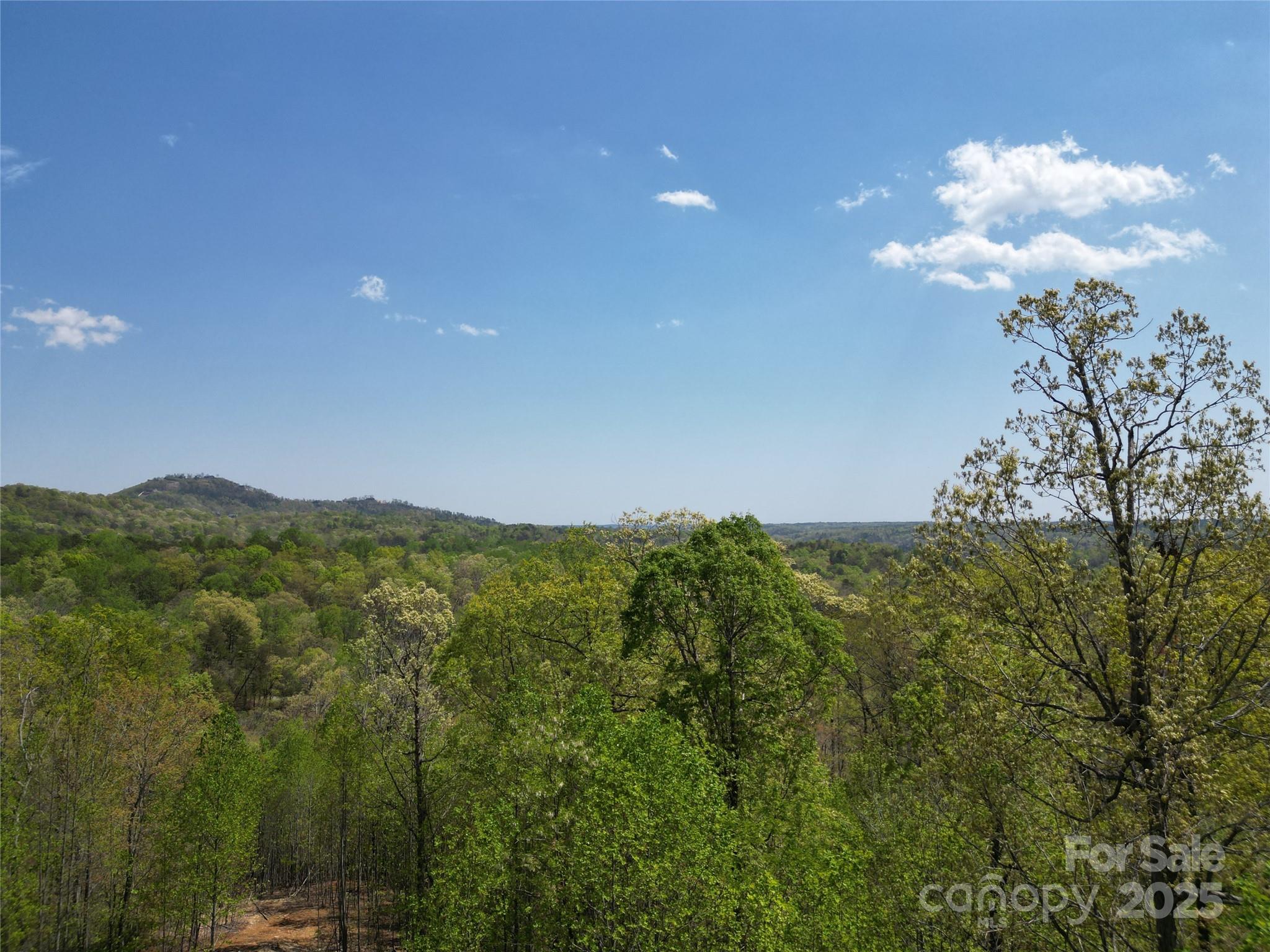 Lot 17 Touch Me Not Trail Property Photo 5