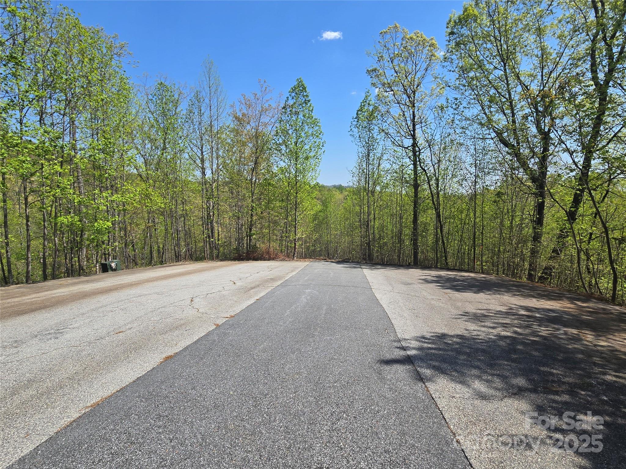 Lot 17 Touch Me Not Trail Property Photo 6
