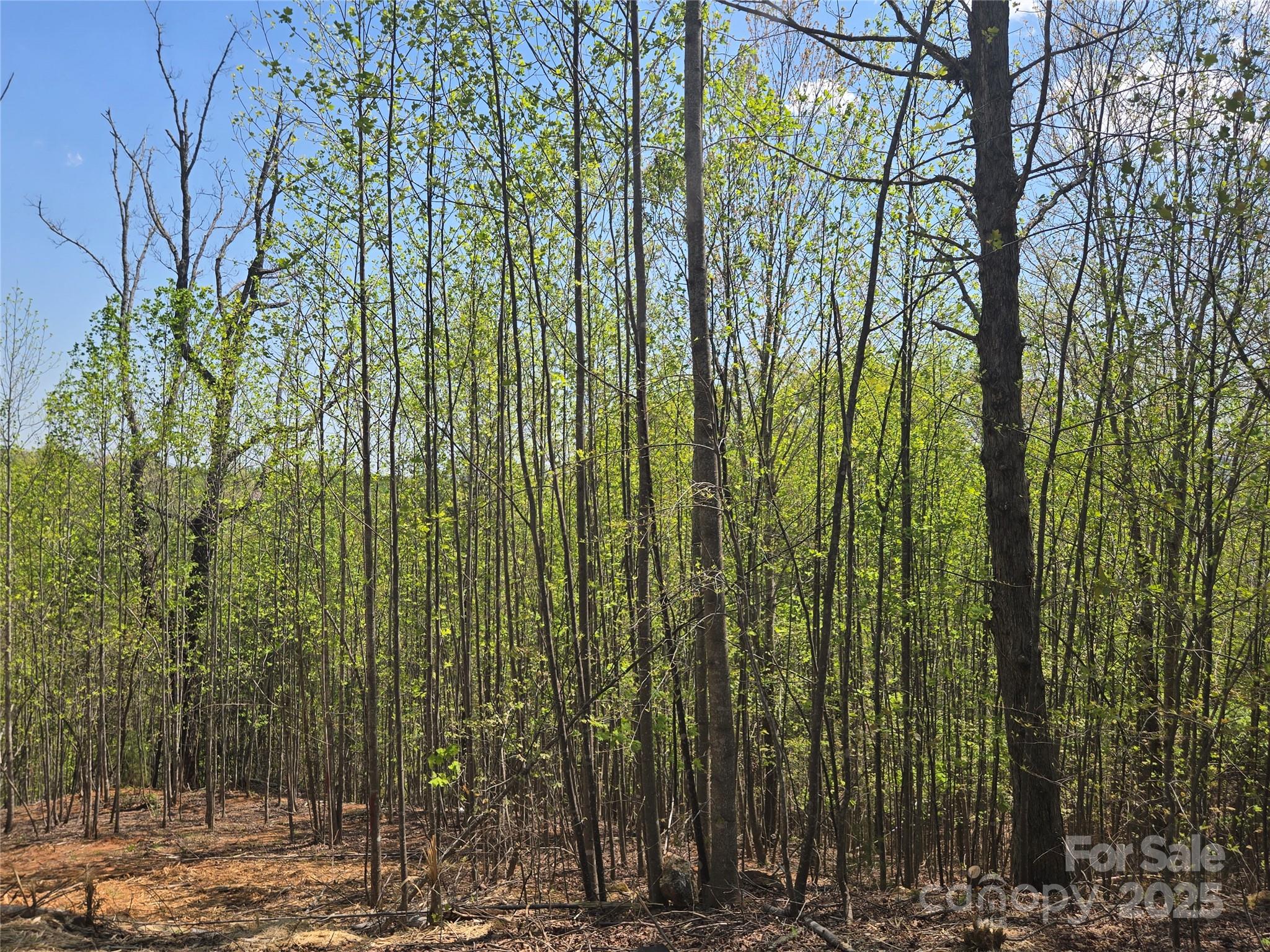 Lot 17 Touch Me Not Trail Property Photo 7