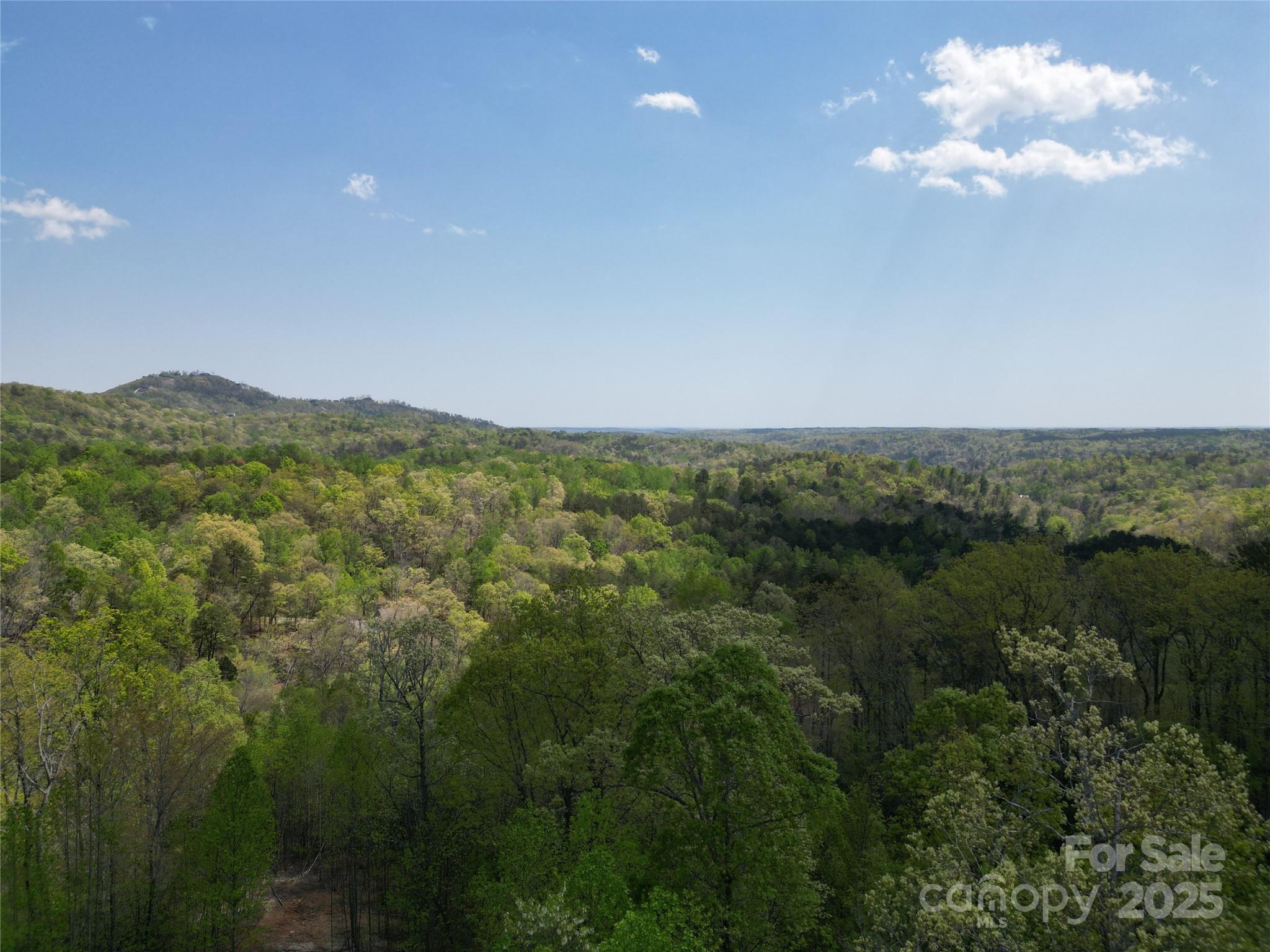 Lot 17 Touch Me Not Trail Property Photo 8