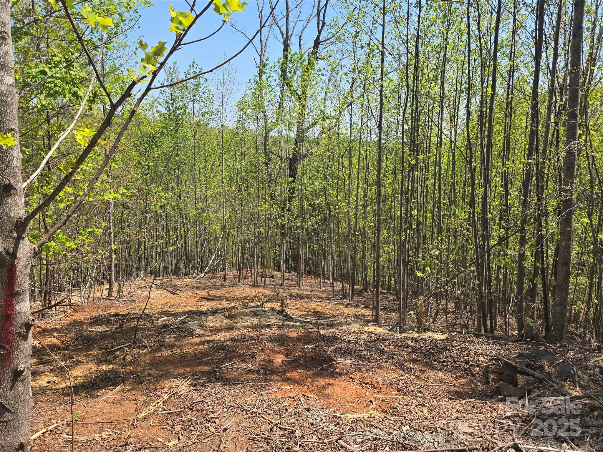Lot 17 Touch Me Not Trail Property Photo 10