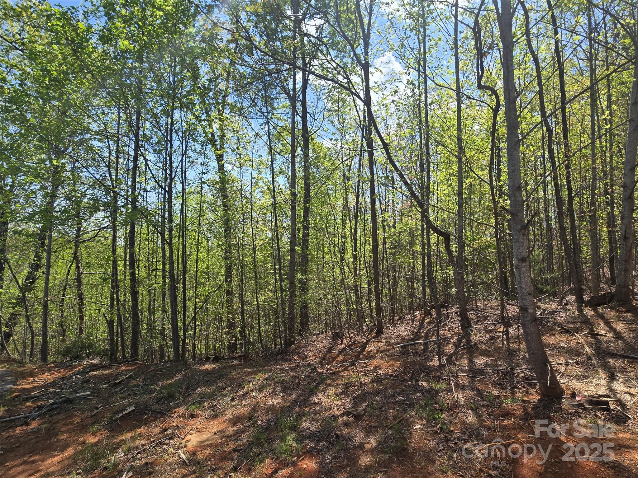 Lot 20 Touch Me Not Trail Property Photo