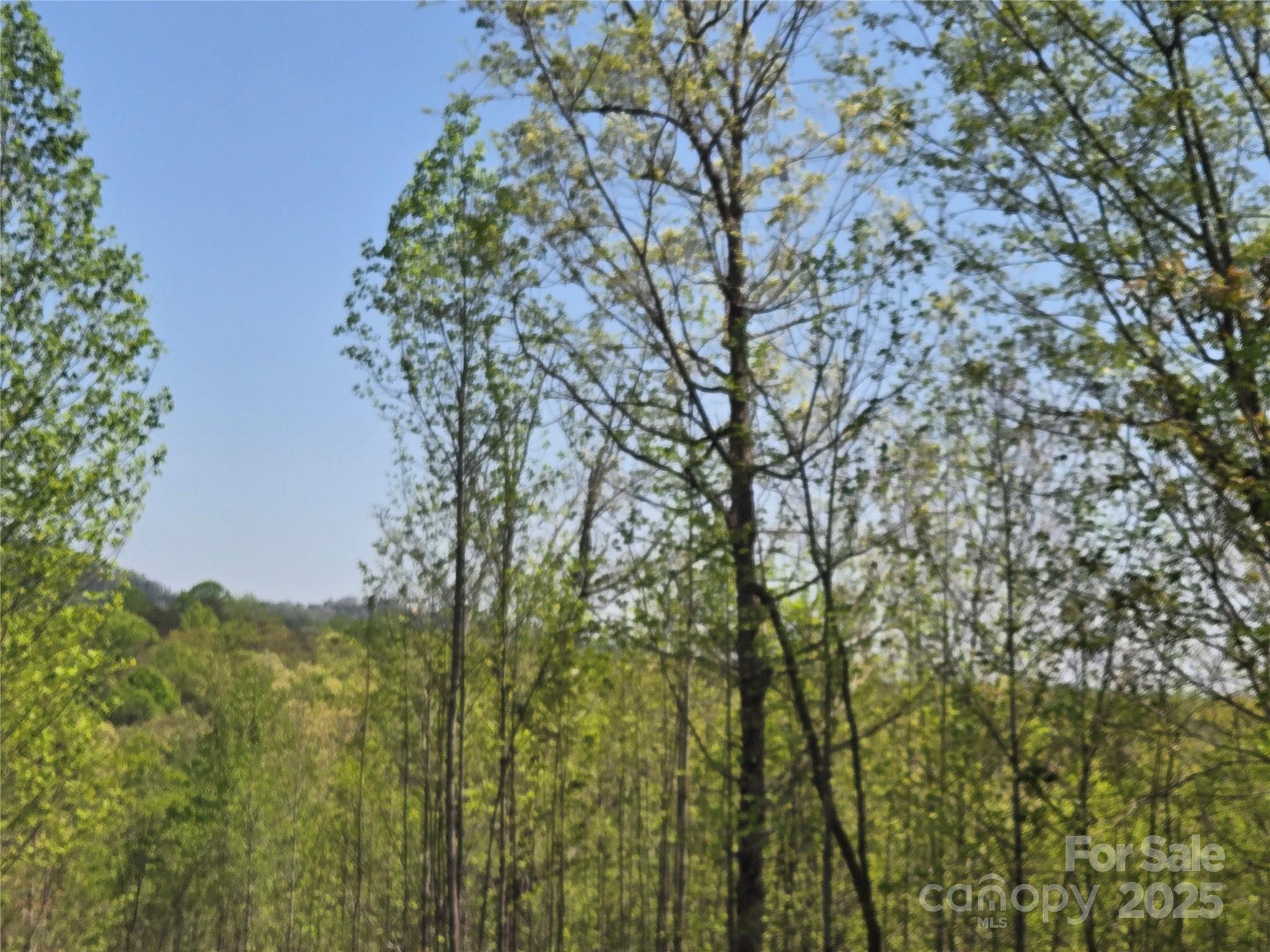 Lot 20 Touch Me Not Trail Property Photo 2