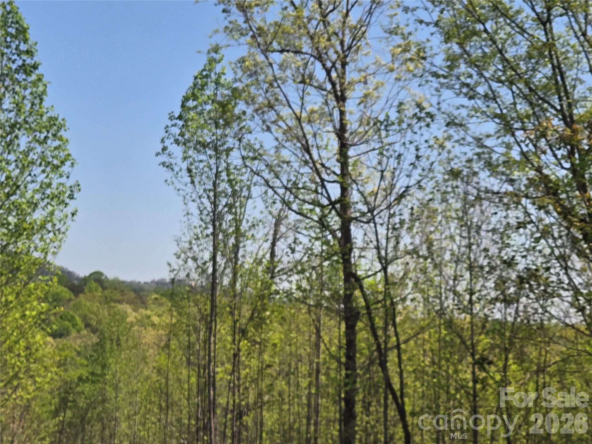 Lot 20 Touch Me Not Trail Property Photo 3