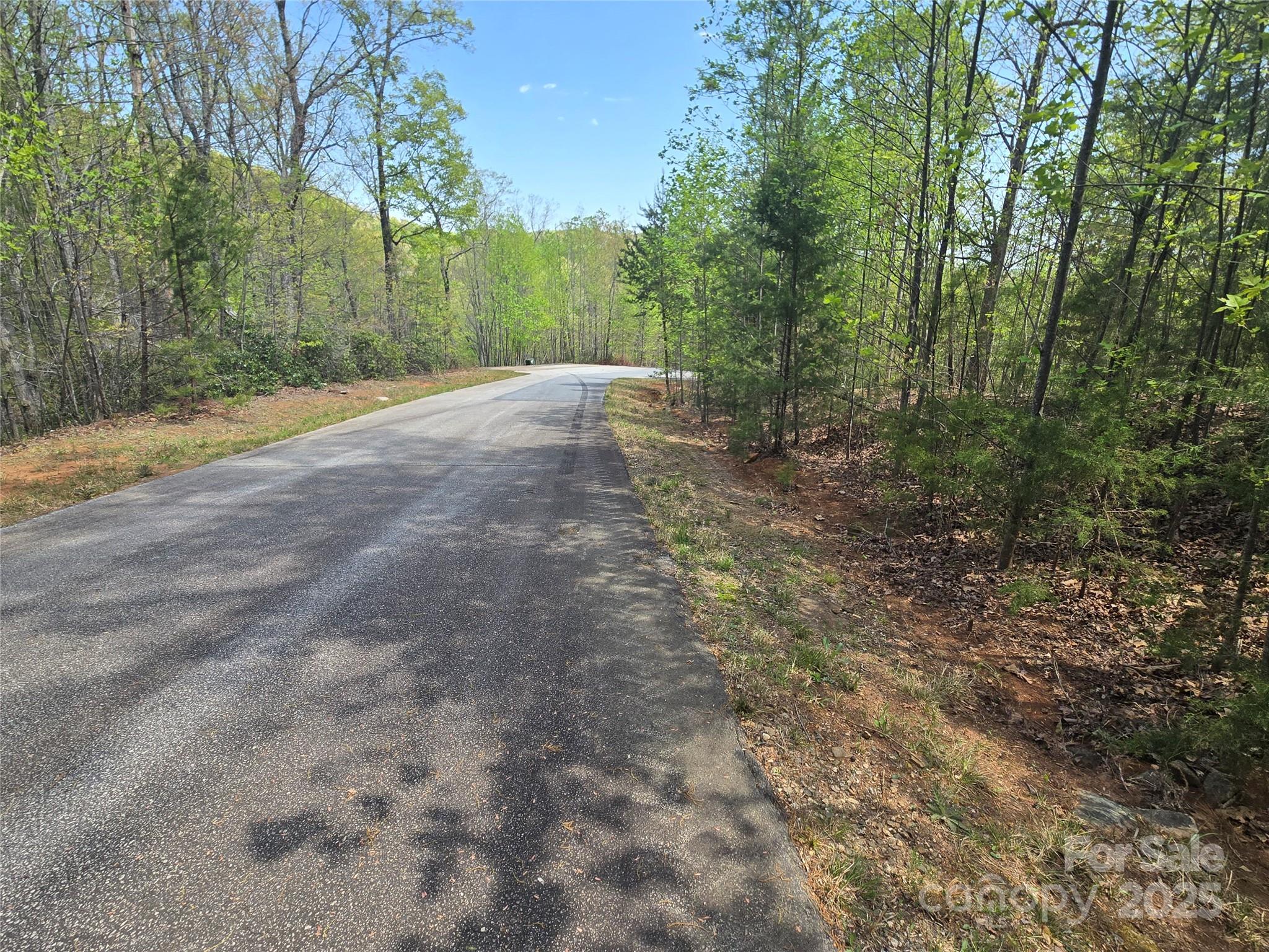 Lot 20 Touch Me Not Trail Property Photo 4