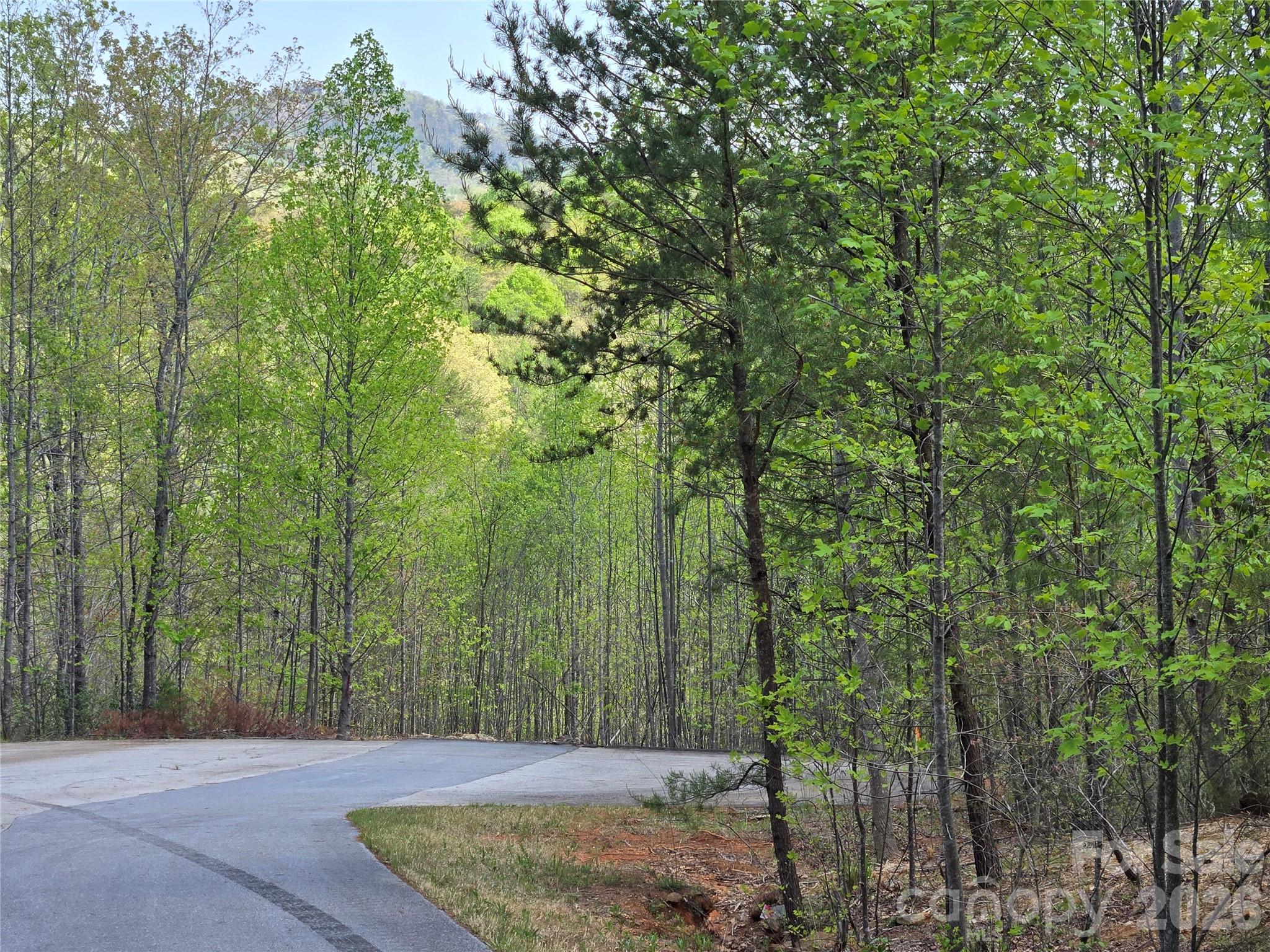 Lot 20 Touch Me Not Trail Property Photo 4