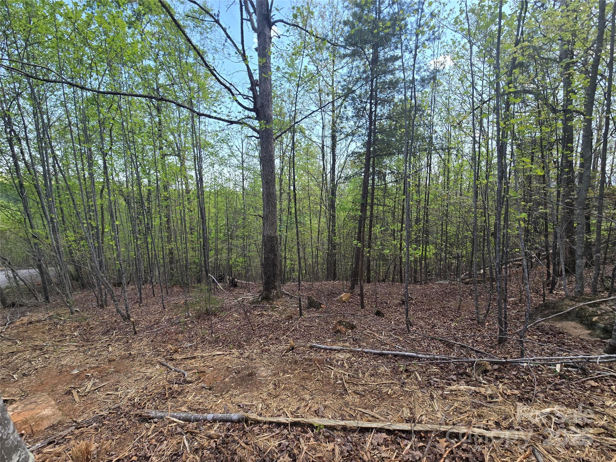 Lot 20 Touch Me Not Trail Property Photo 6