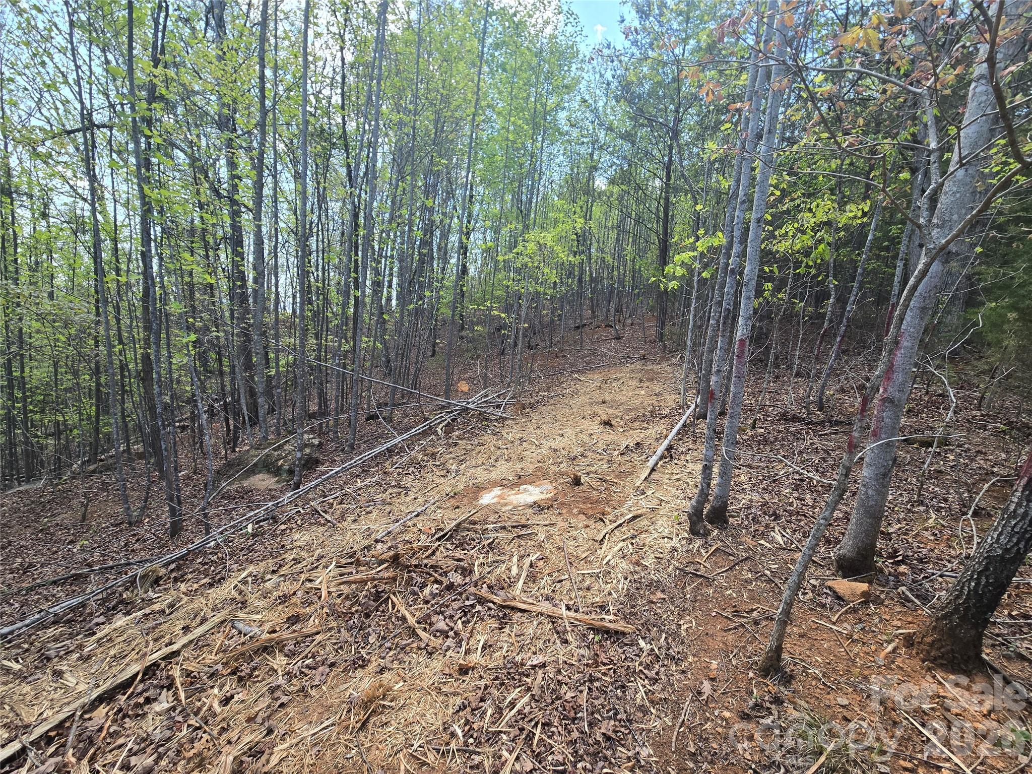 Lot 20 Touch Me Not Trail Property Photo 6
