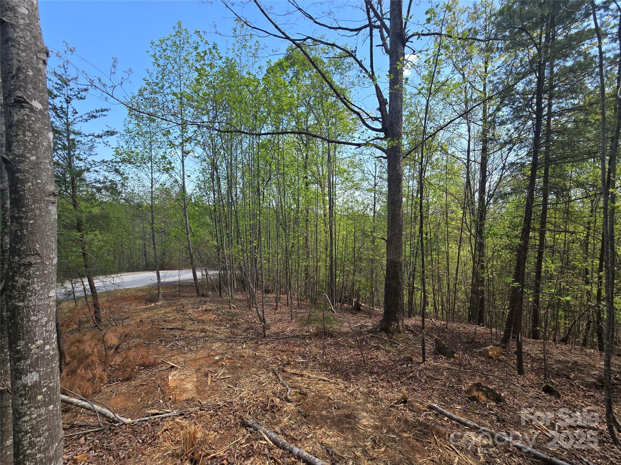 Lot 20 Touch Me Not Trail Property Photo 7