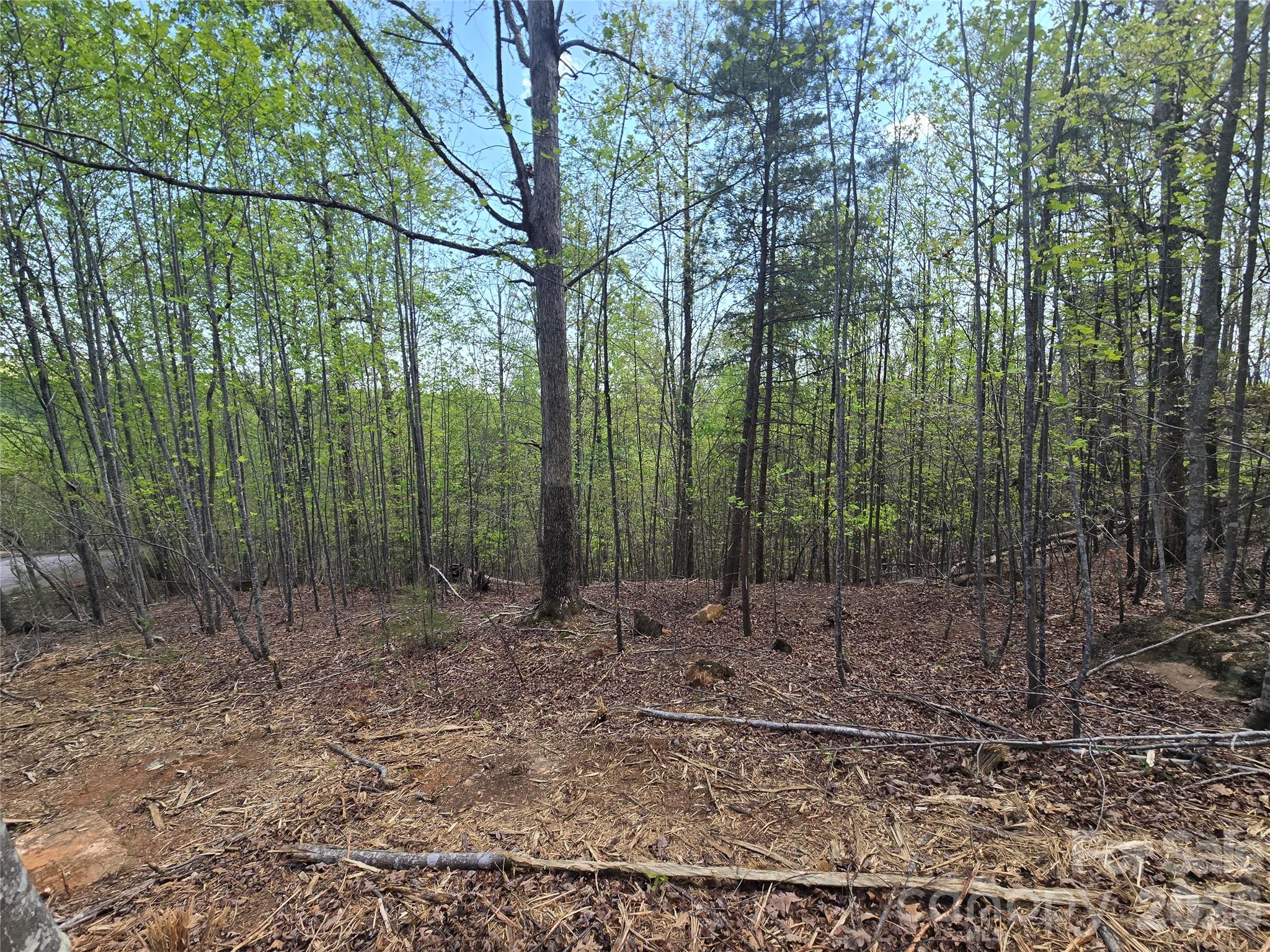 Lot 20 Touch Me Not Trail Property Photo 7