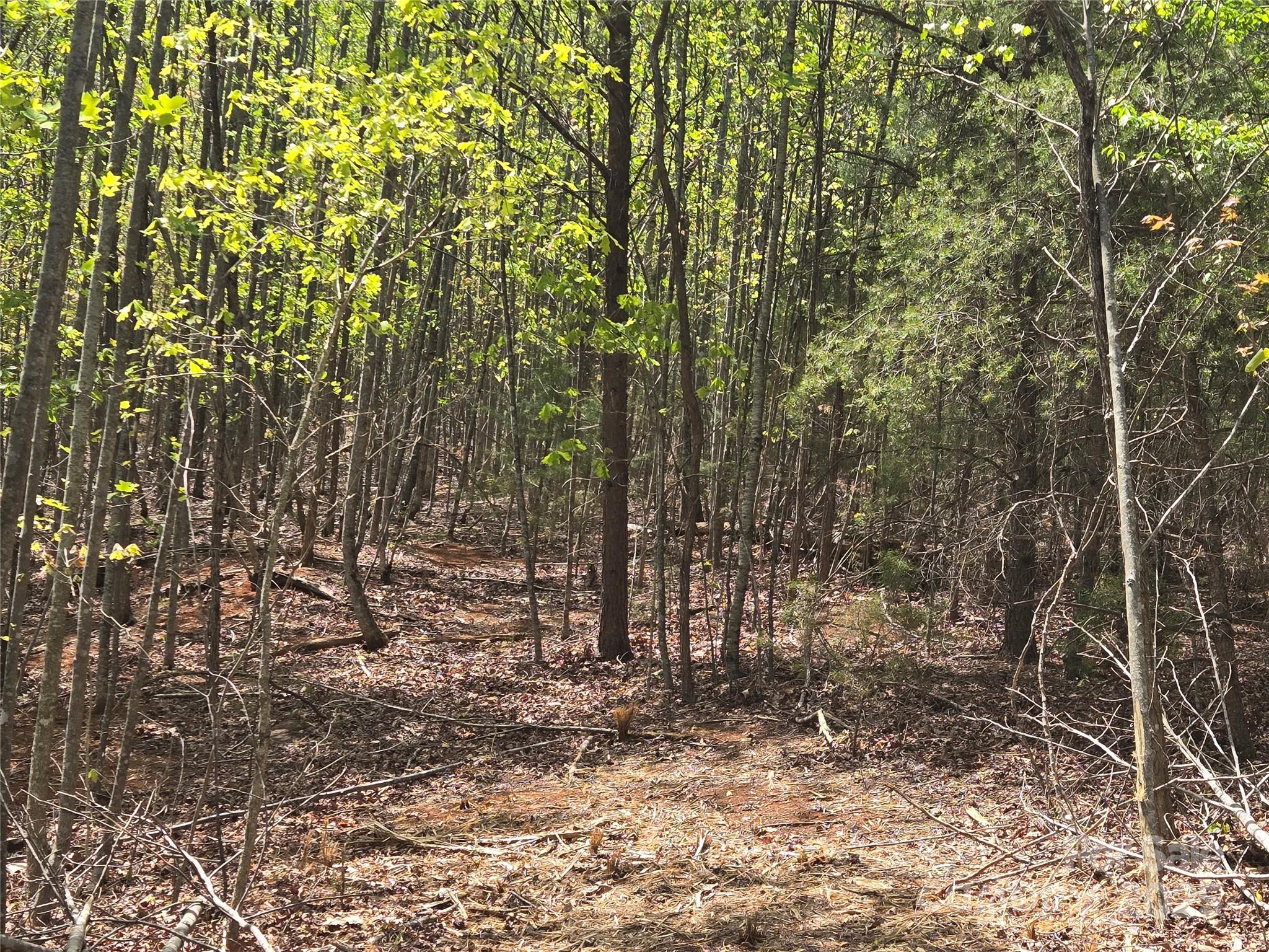 Lot 20 Touch Me Not Trail Property Photo 8