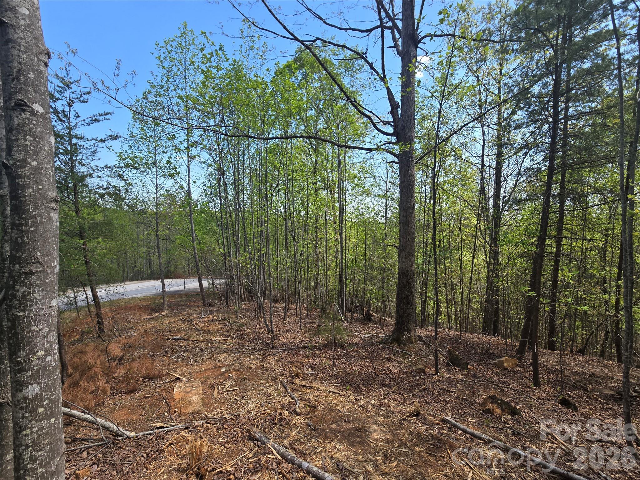 Lot 20 Touch Me Not Trail Property Photo 8