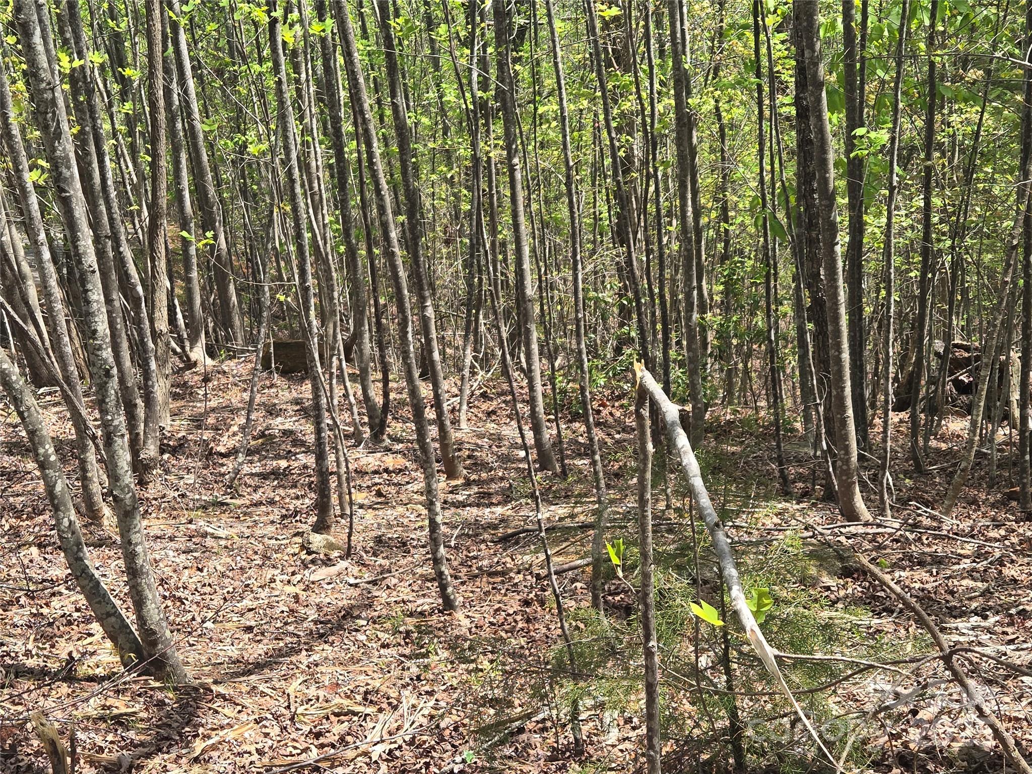 Lot 20 Touch Me Not Trail Property Photo 9