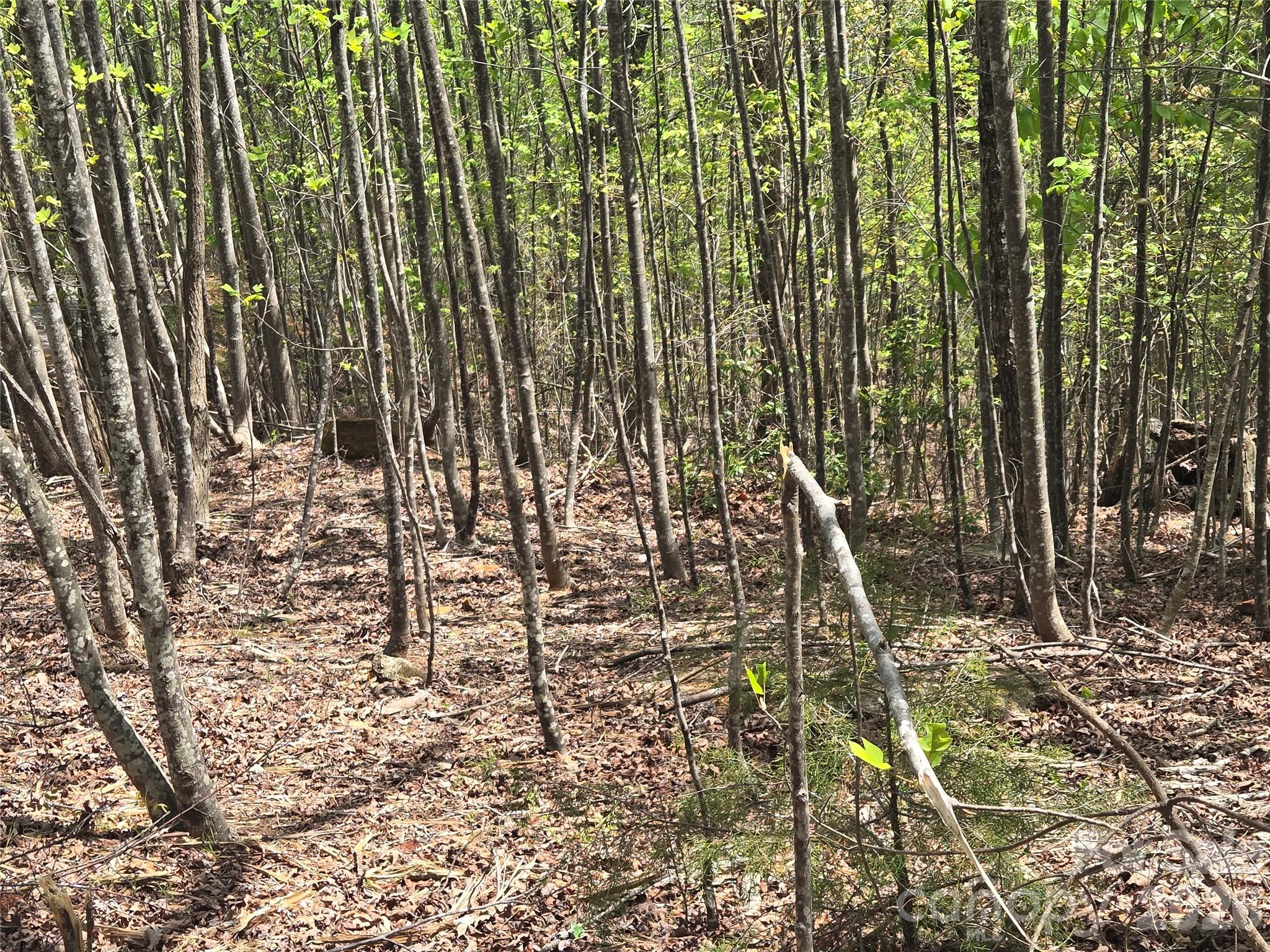 Lot 20 Touch Me Not Trail Property Photo 10