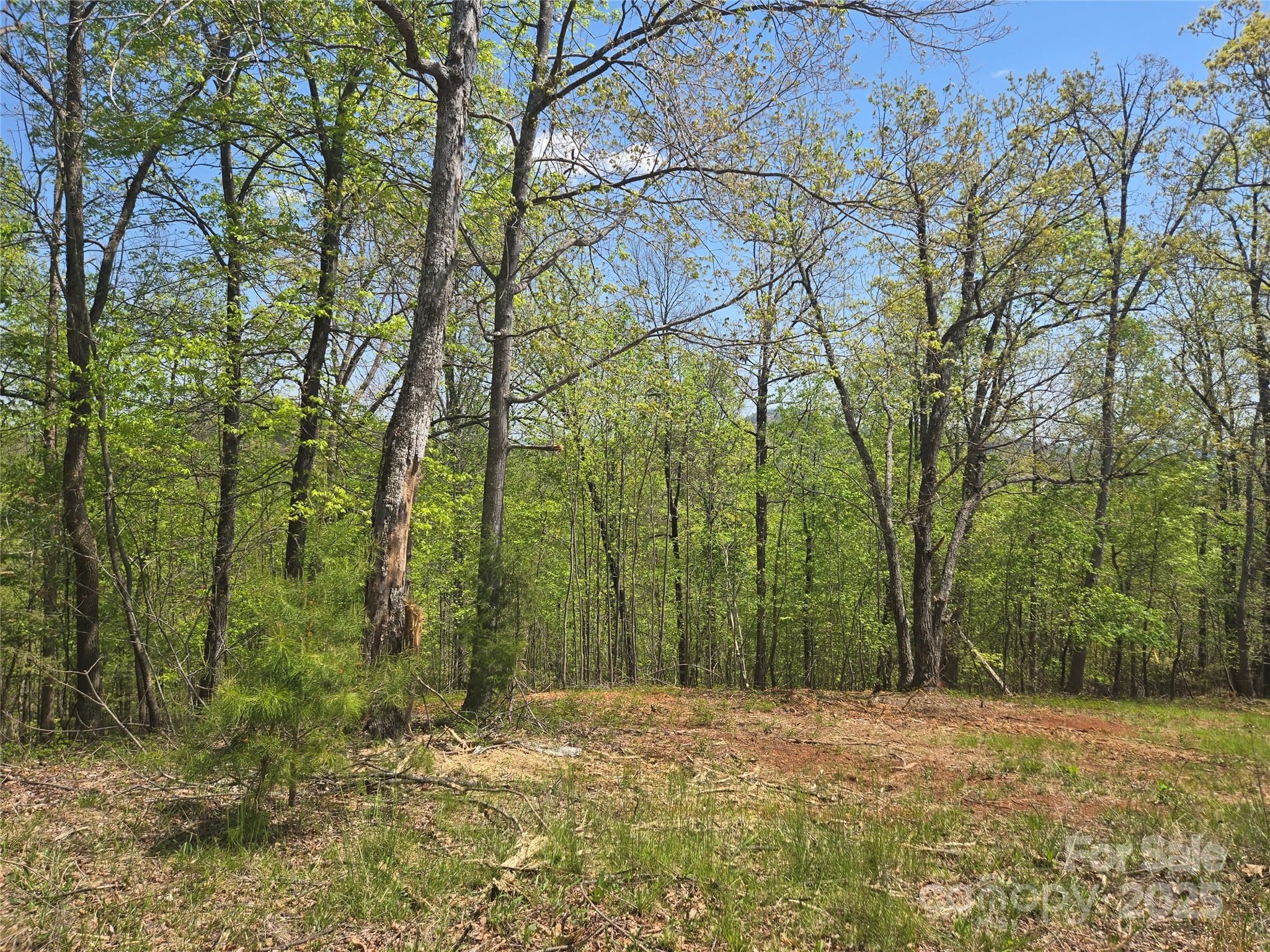 Lot 23 High Rock Ridge Property Photo