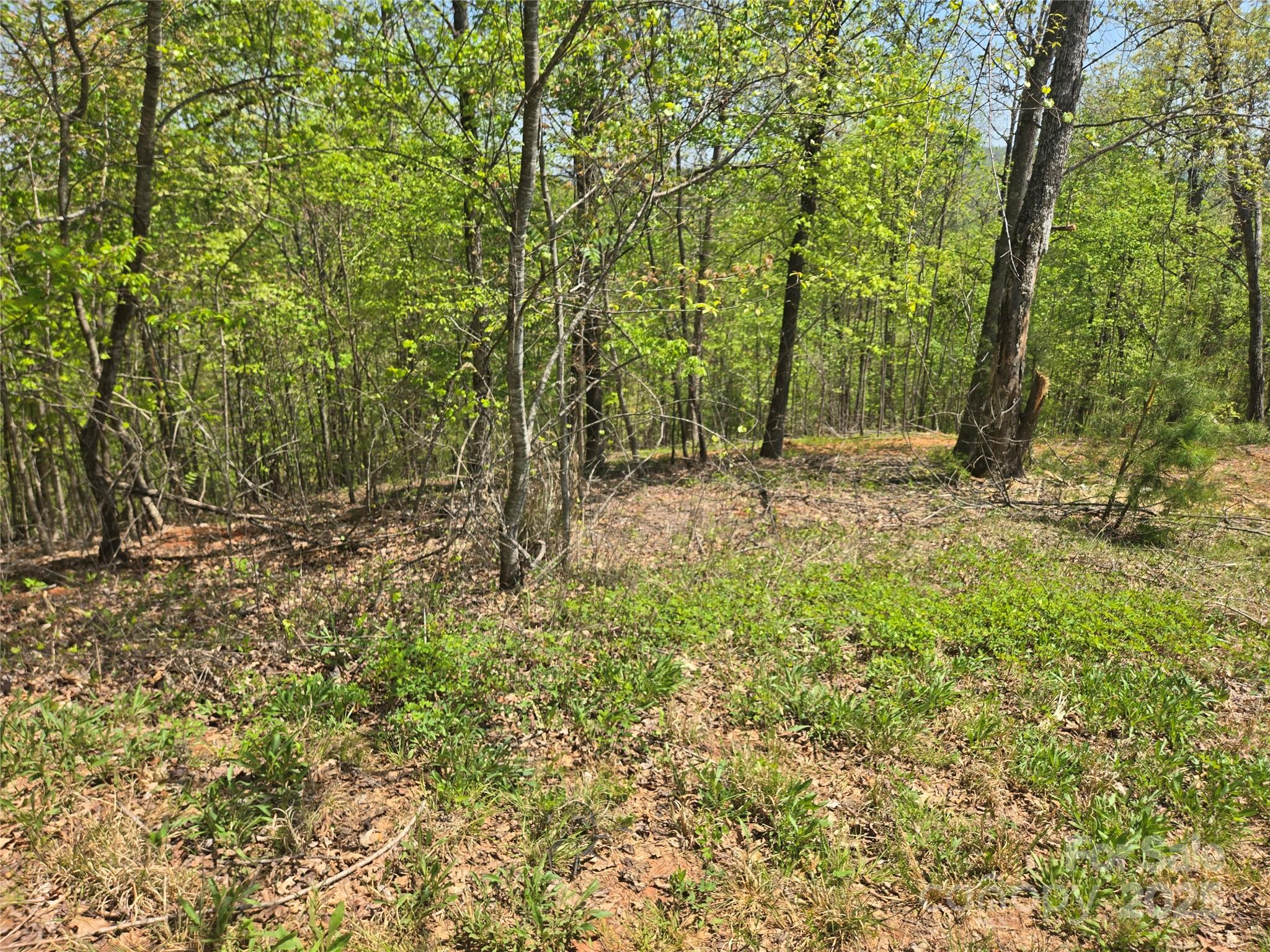 Lot 23 High Rock Ridge Property Photo 4