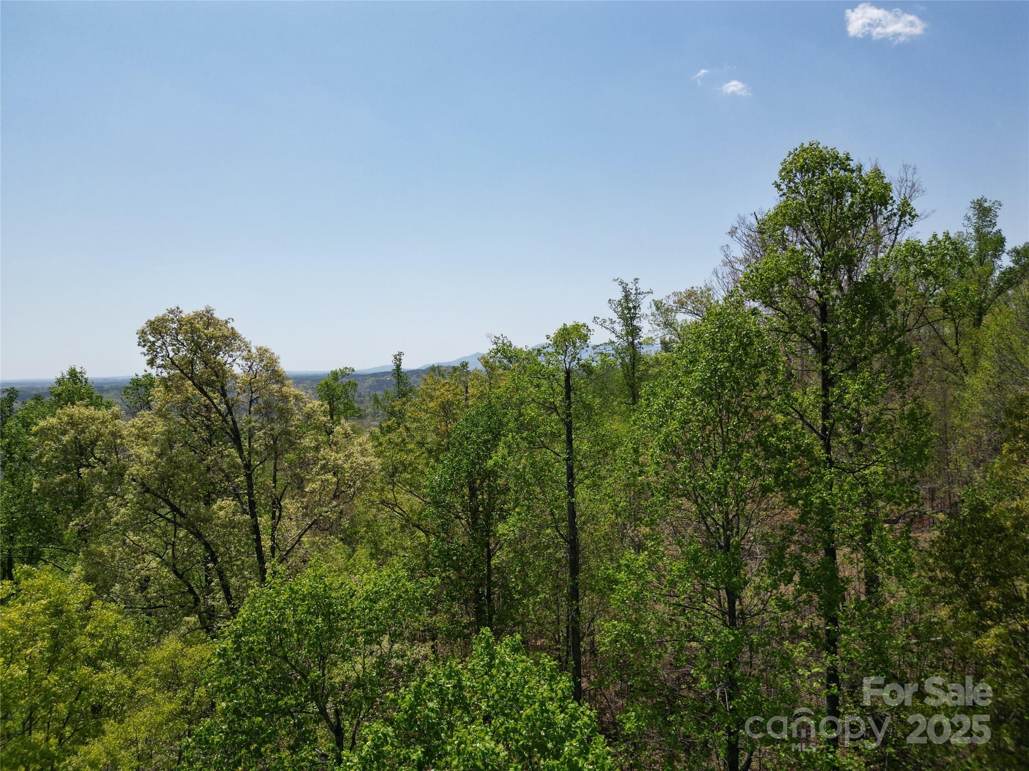 Lot 23 High Rock Ridge Property Photo 7