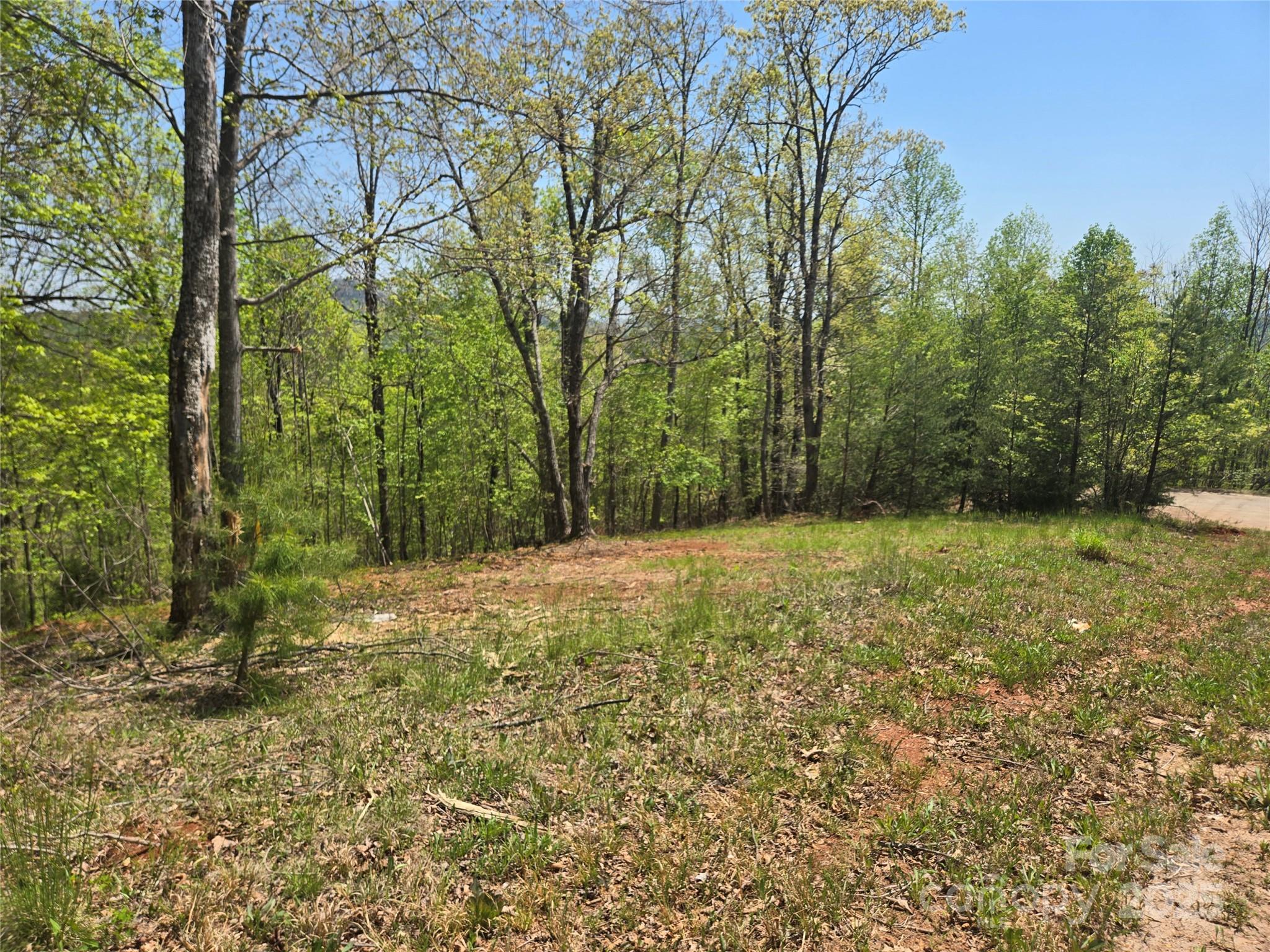 Lot 23 High Rock Ridge Property Photo 8