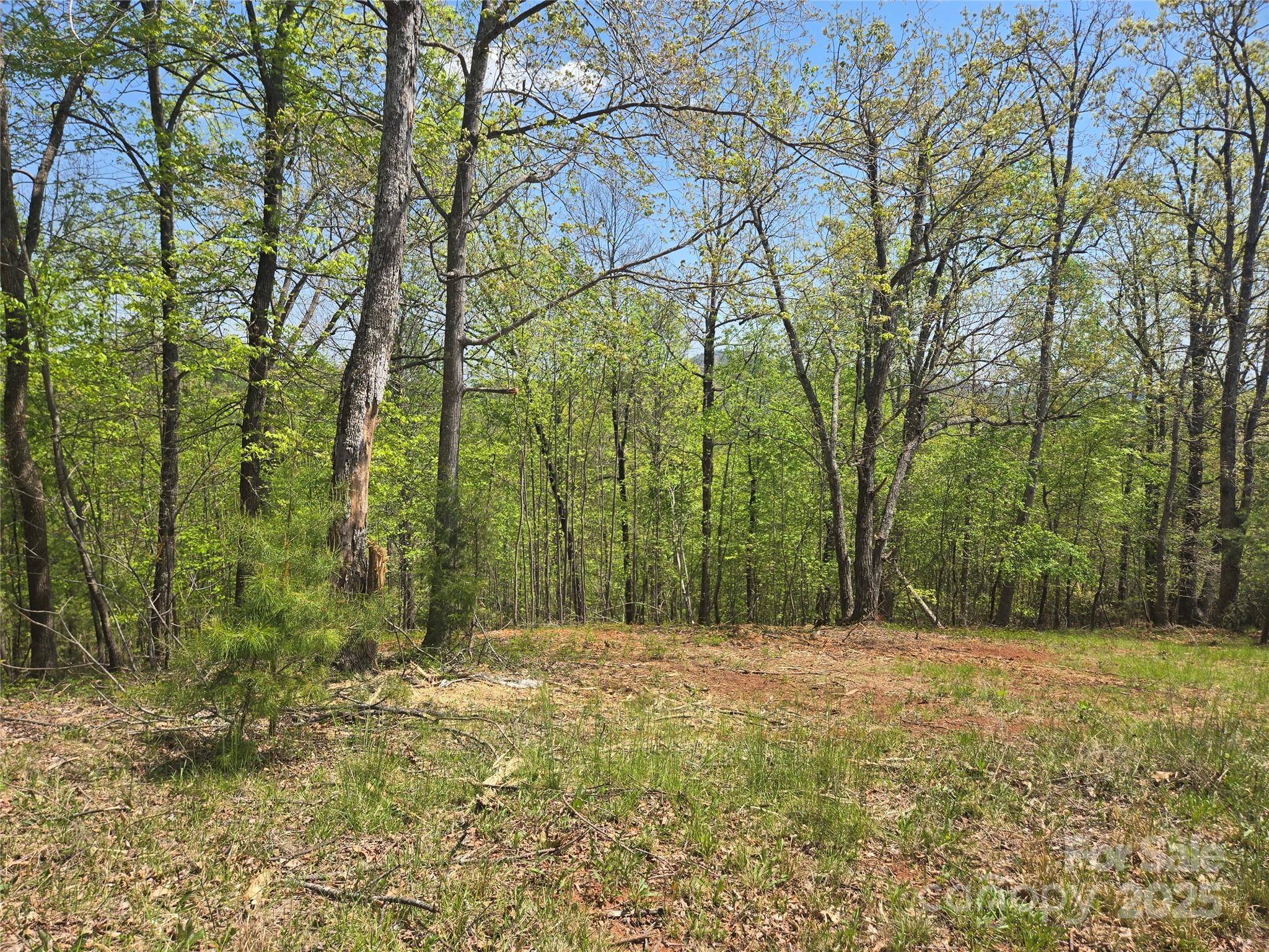 Lot 23 High Rock Ridge Property Photo 10