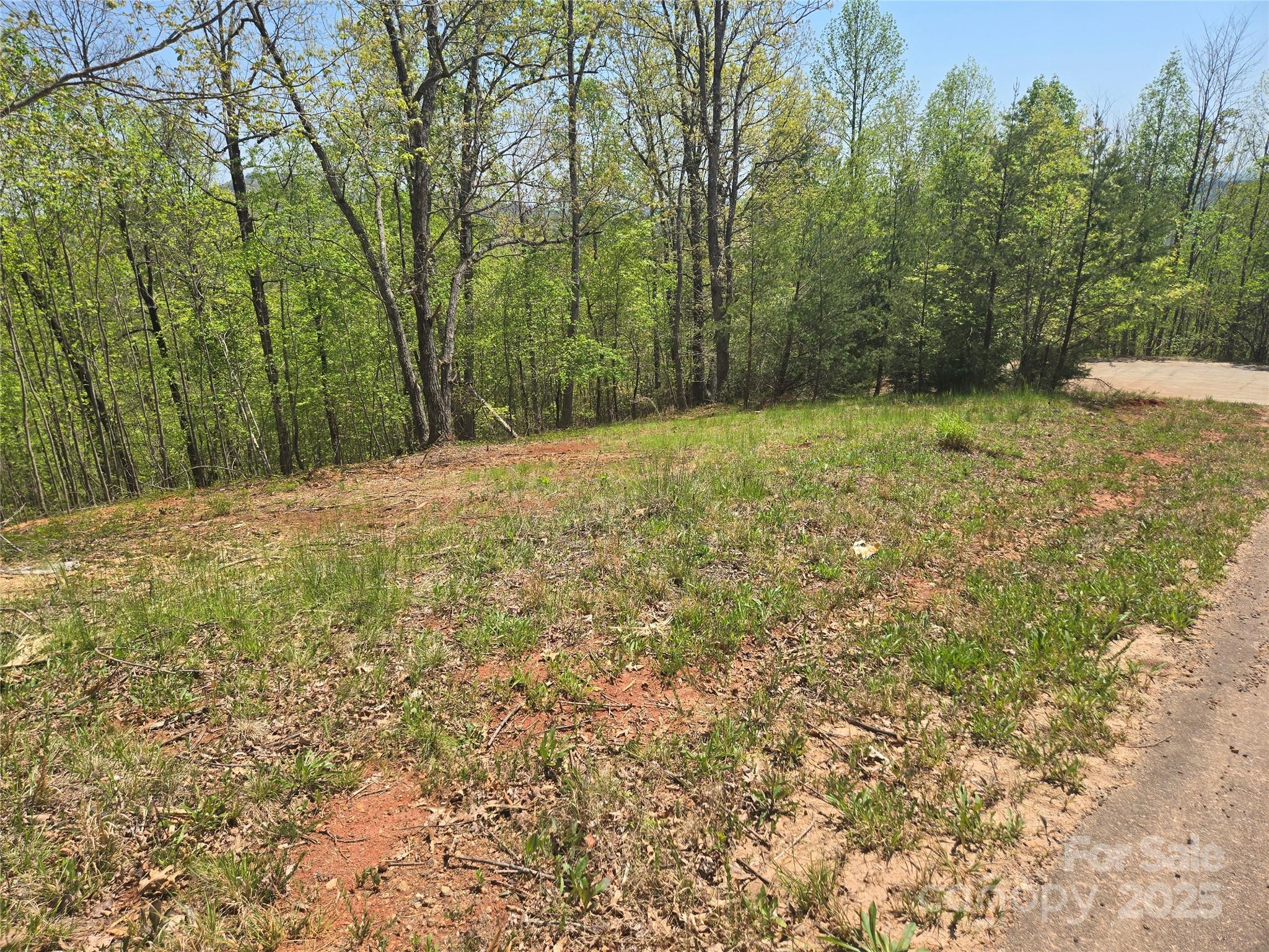 Lot 23 High Rock Ridge Property Photo 13