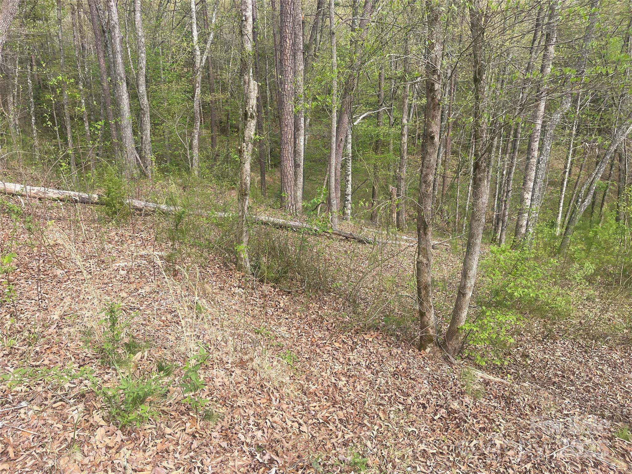 Lot 22 River Club Drive Property Photo