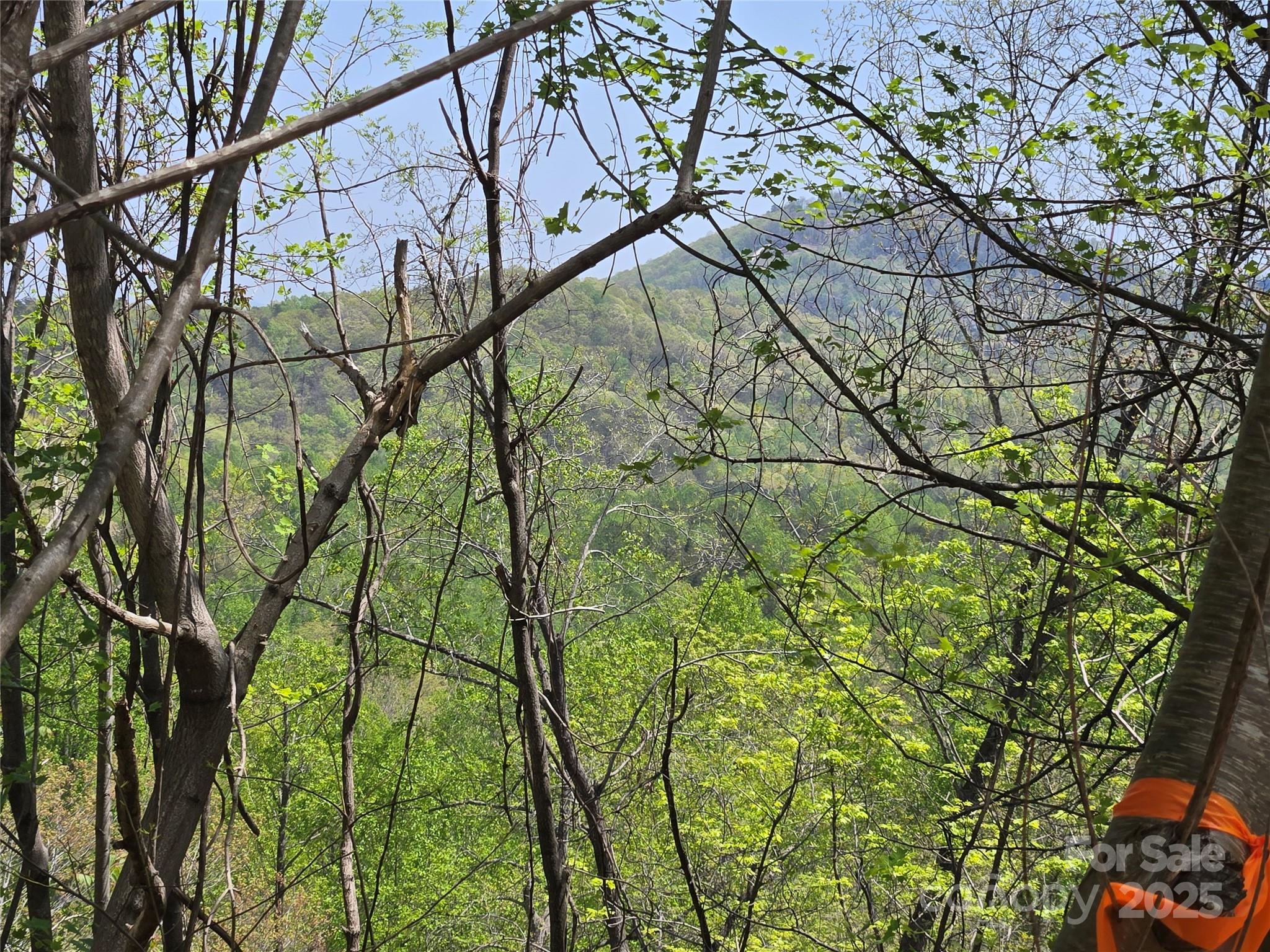 Lot 24 High Rock Ridge Property Photo 1