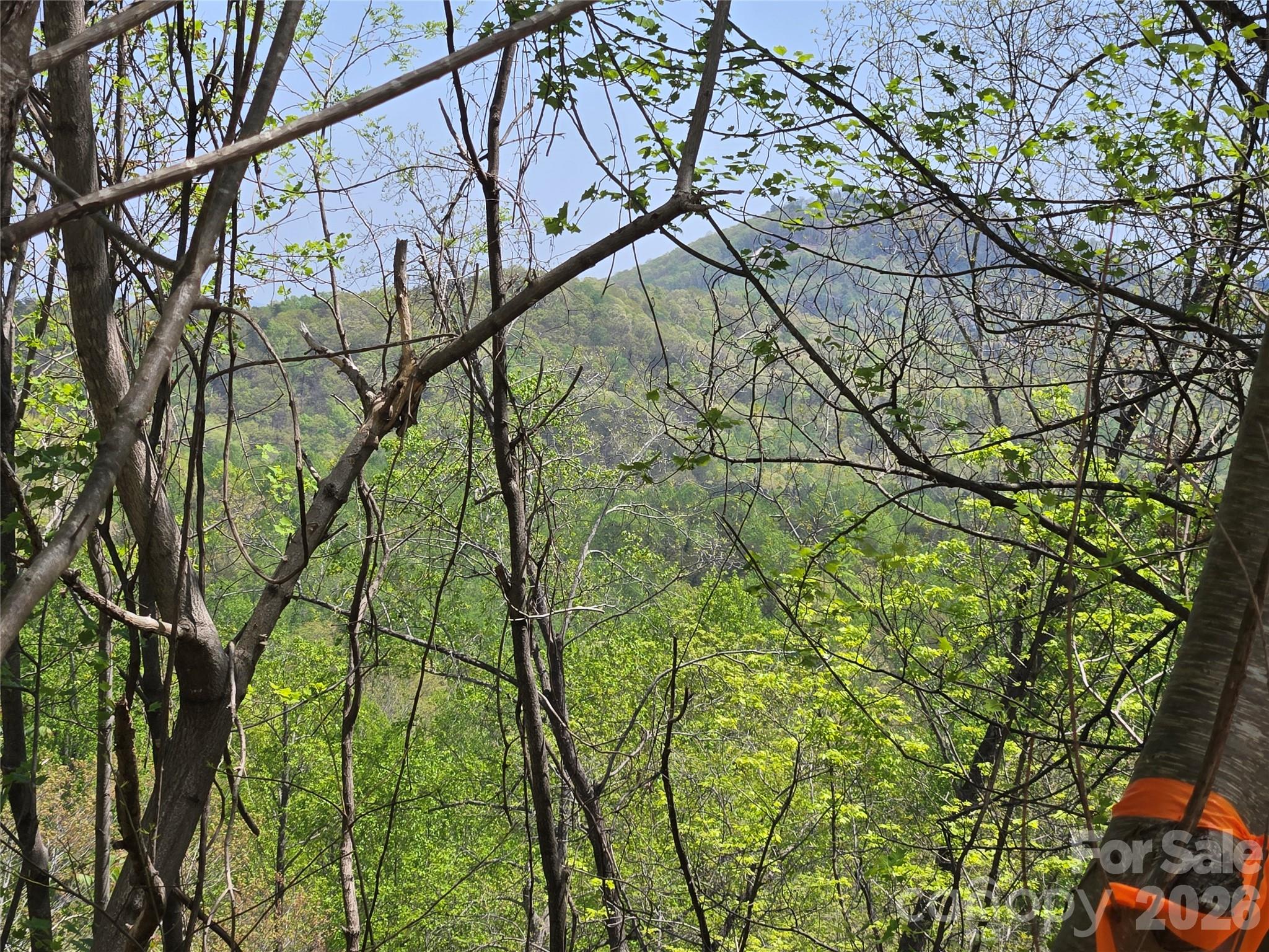 Lot 24 High Rock Ridge Property Photo 1