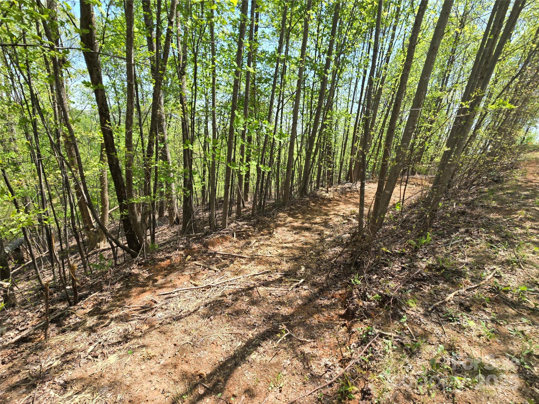 Lot 24 High Rock Ridge Property Photo 2
