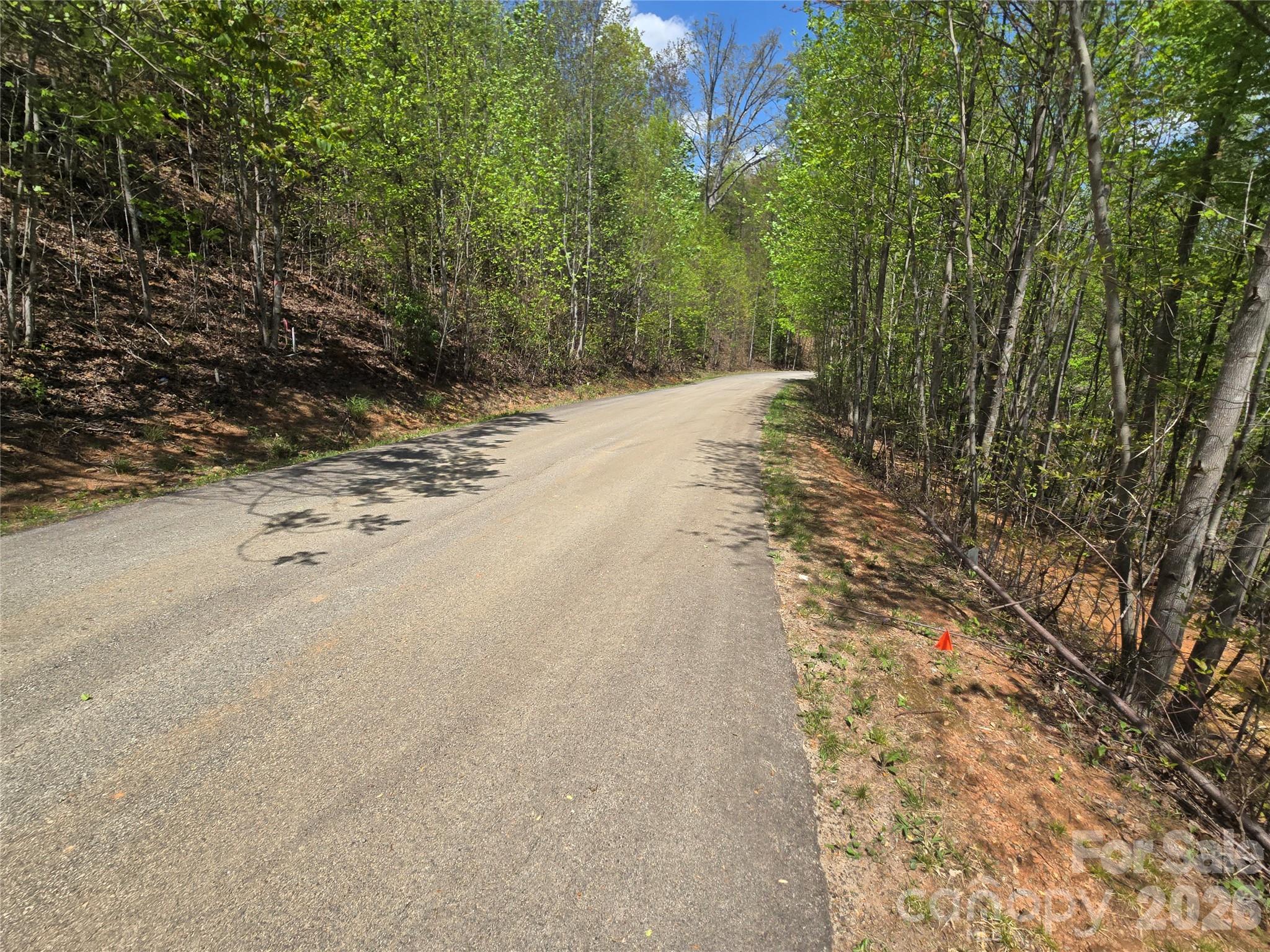 Lot 24 High Rock Ridge Property Photo 4