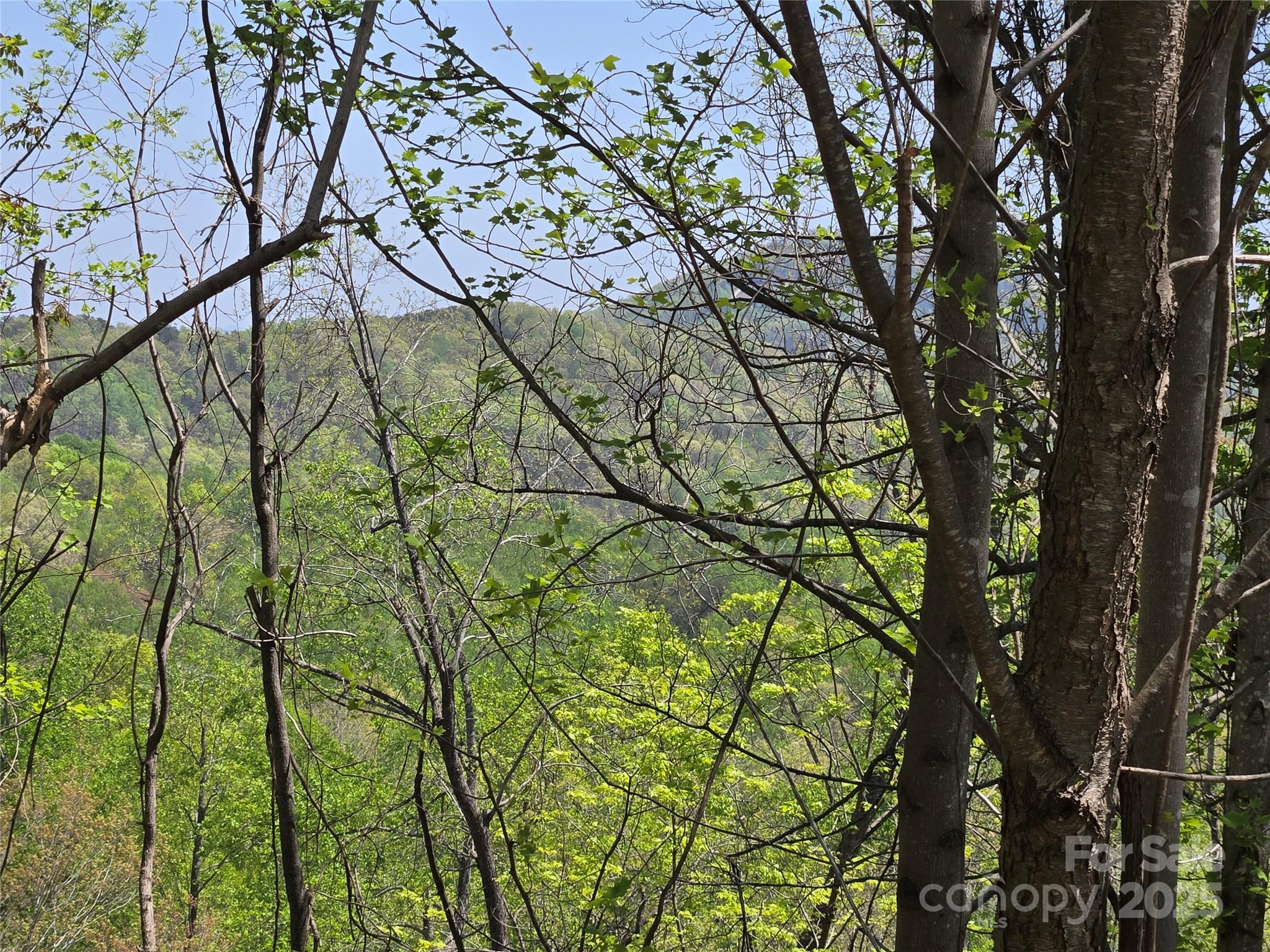 Lot 24 High Rock Ridge Property Photo 5