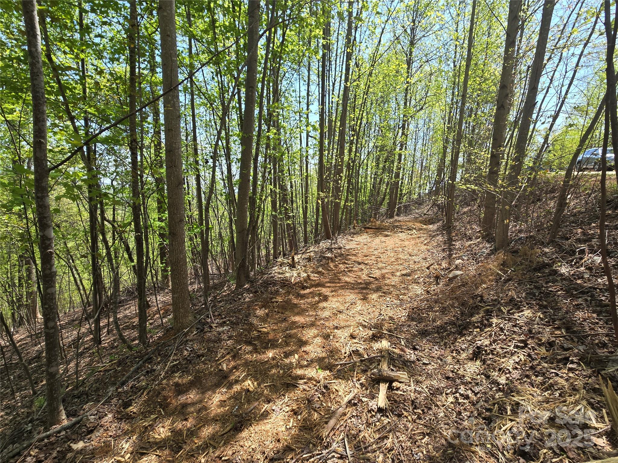 Lot 24 High Rock Ridge Property Photo 6
