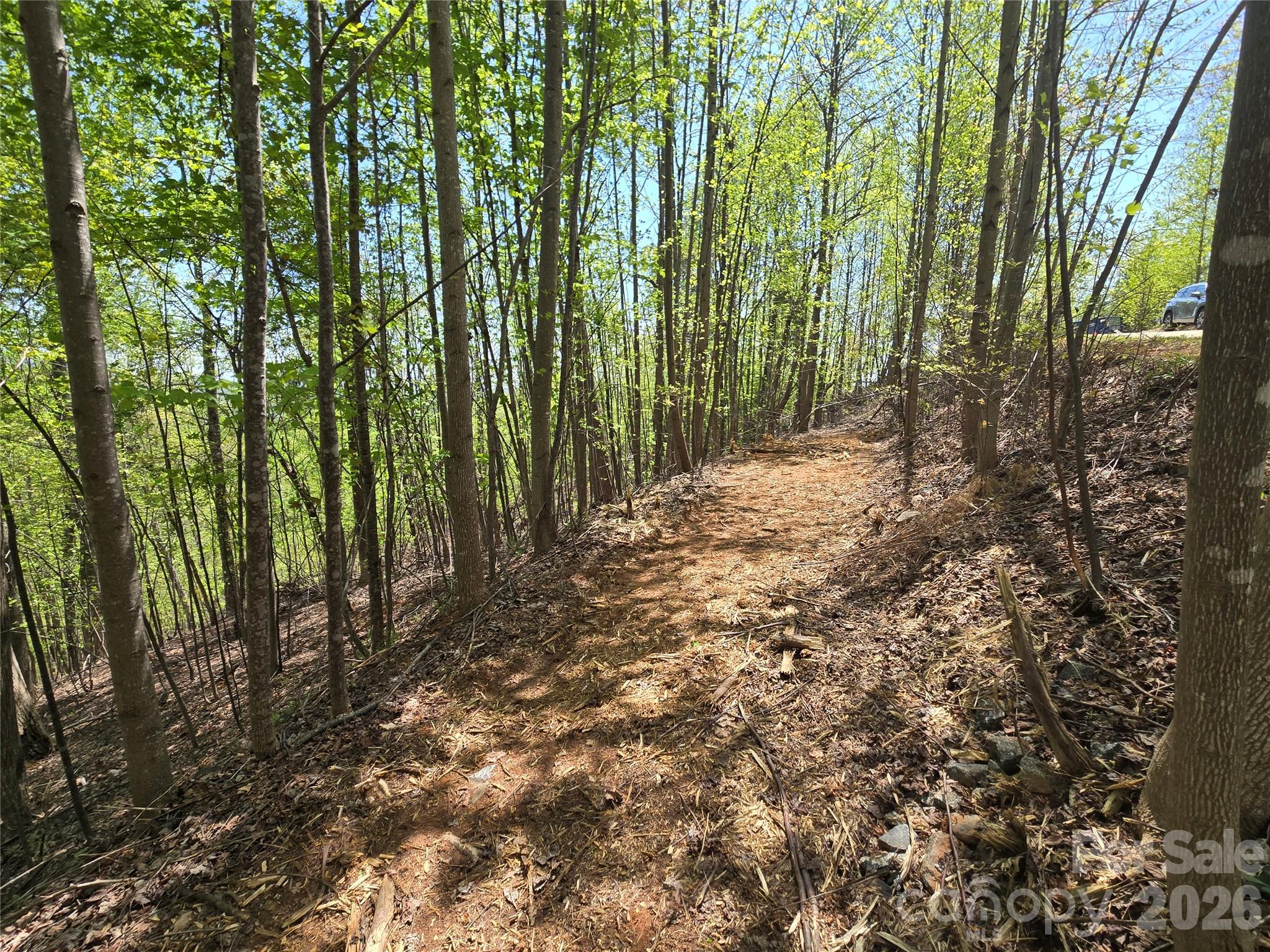 Lot 24 High Rock Ridge Property Photo 6