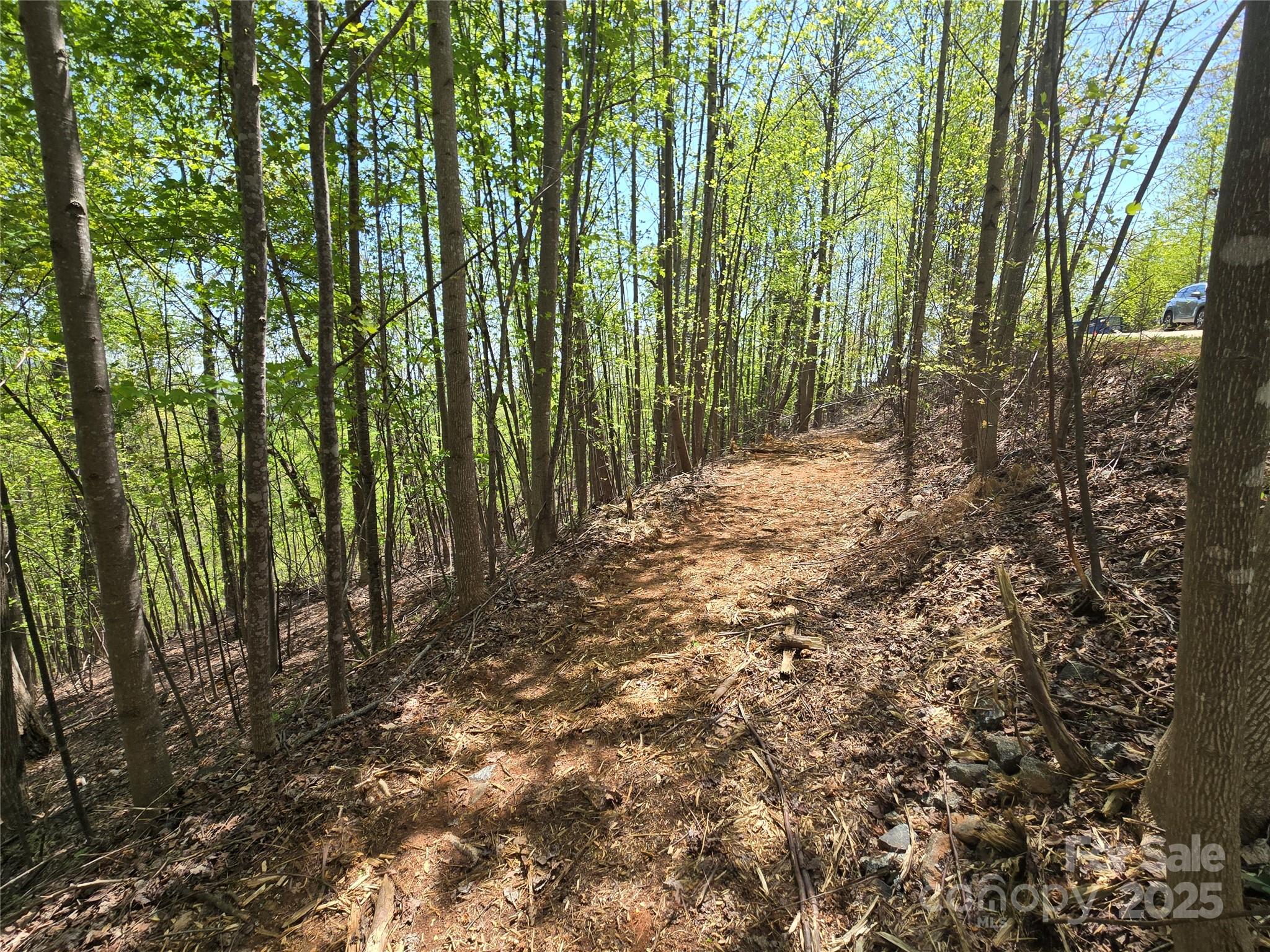 Lot 24 High Rock Ridge Property Photo 10