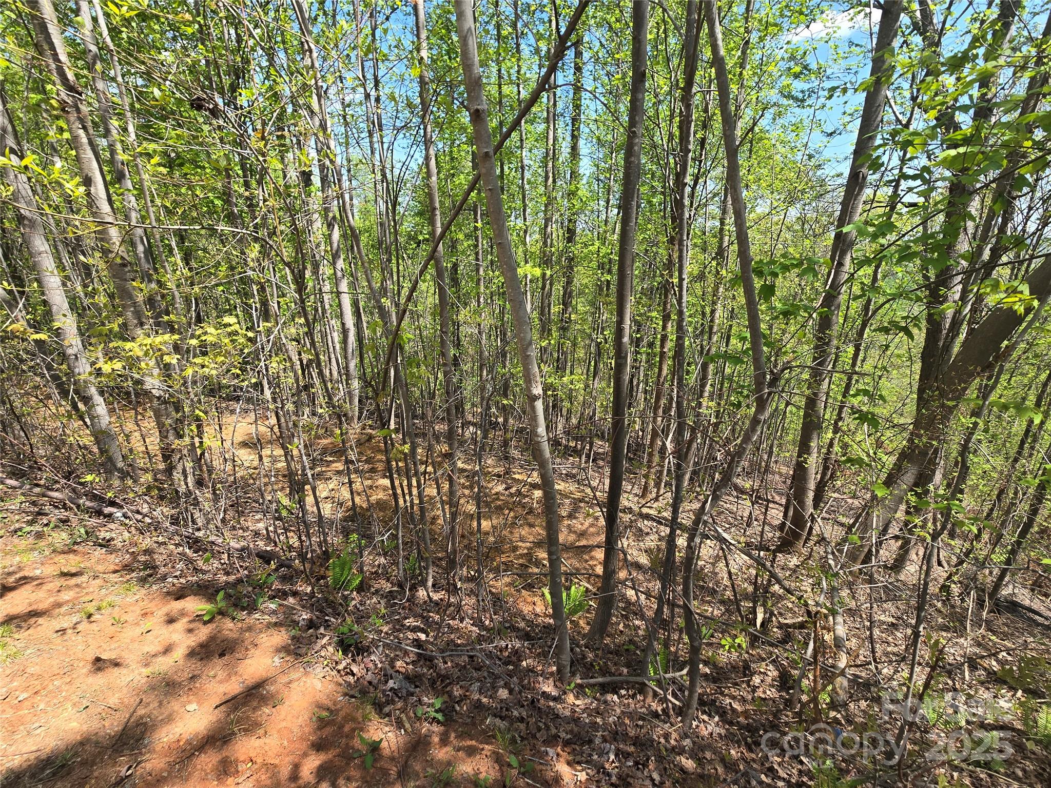Lot 24 High Rock Ridge Property Photo 11