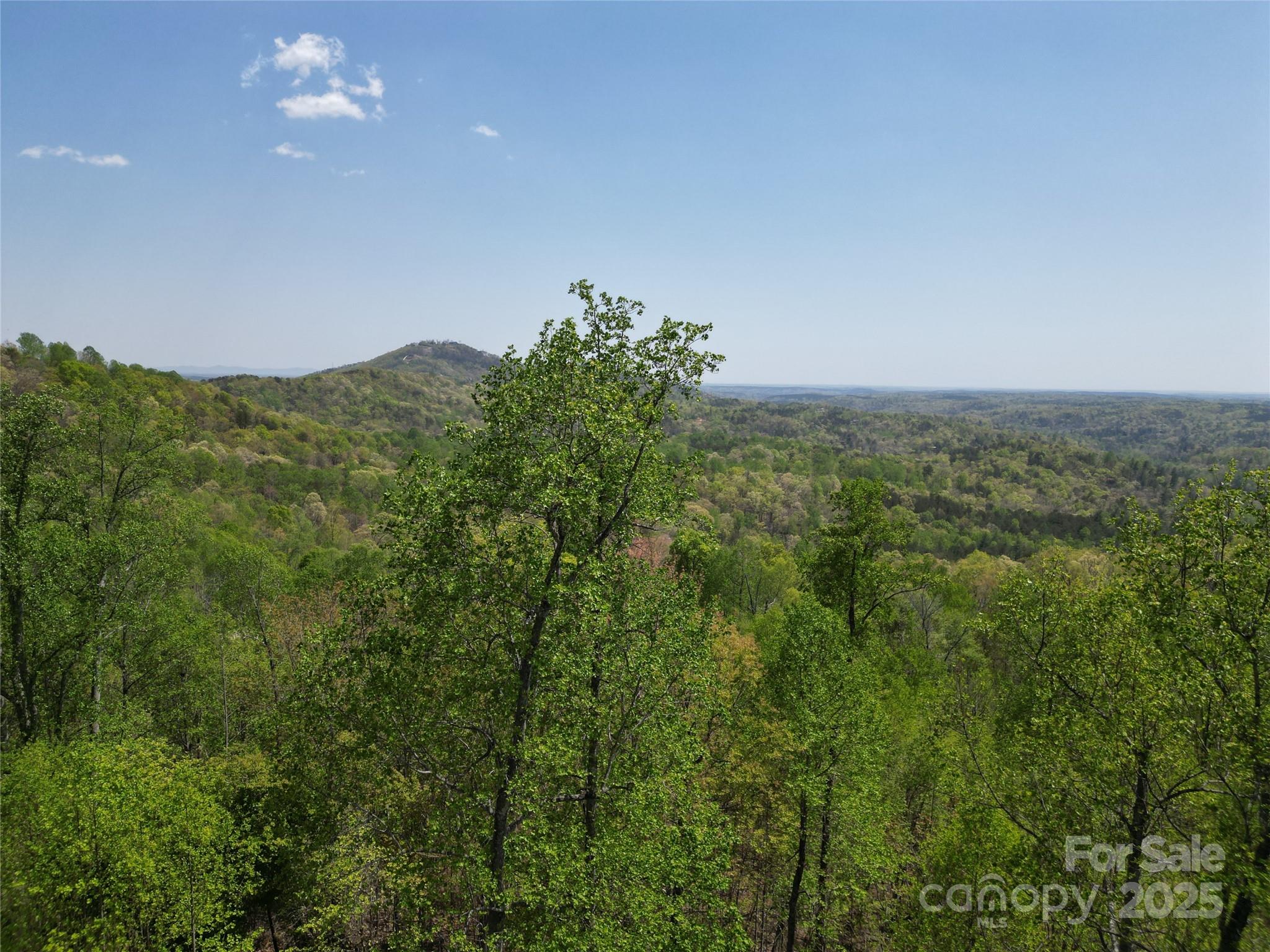 Lot 25 High Rock Ridge Property Photo 1
