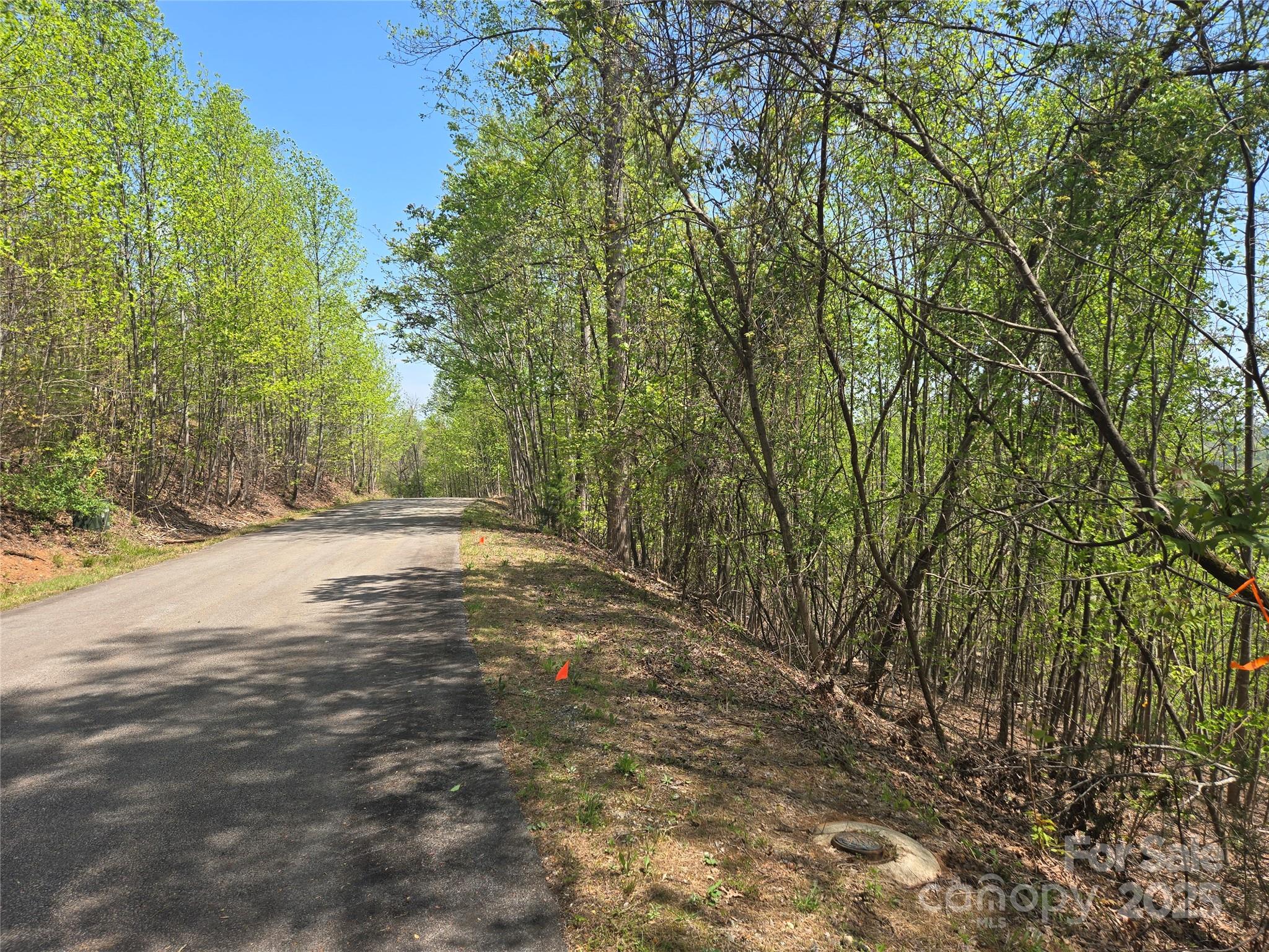 Lot 25 High Rock Ridge Property Photo 4