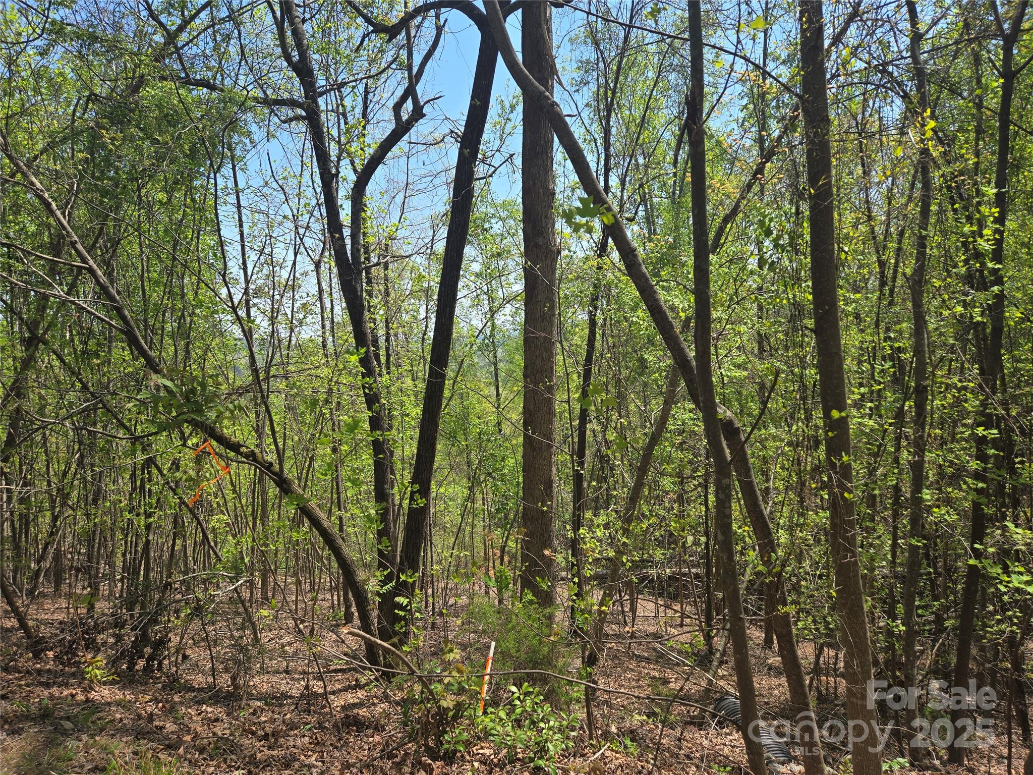 Lot 25 High Rock Ridge Property Photo 5