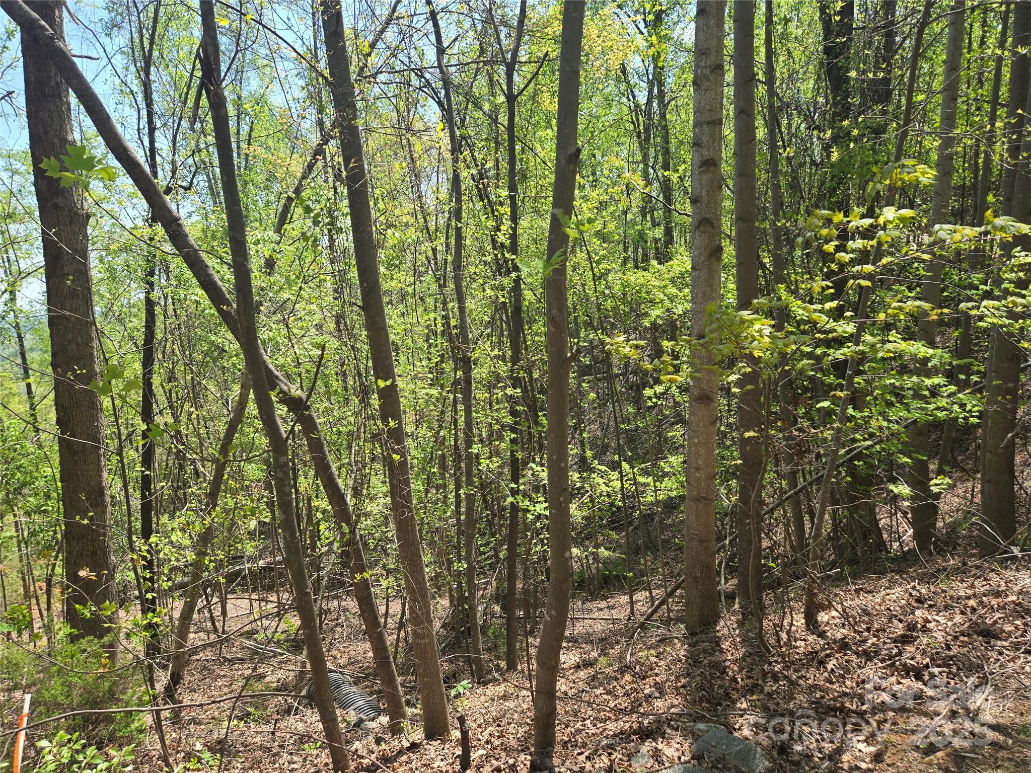 Lot 25 High Rock Ridge Property Photo 6