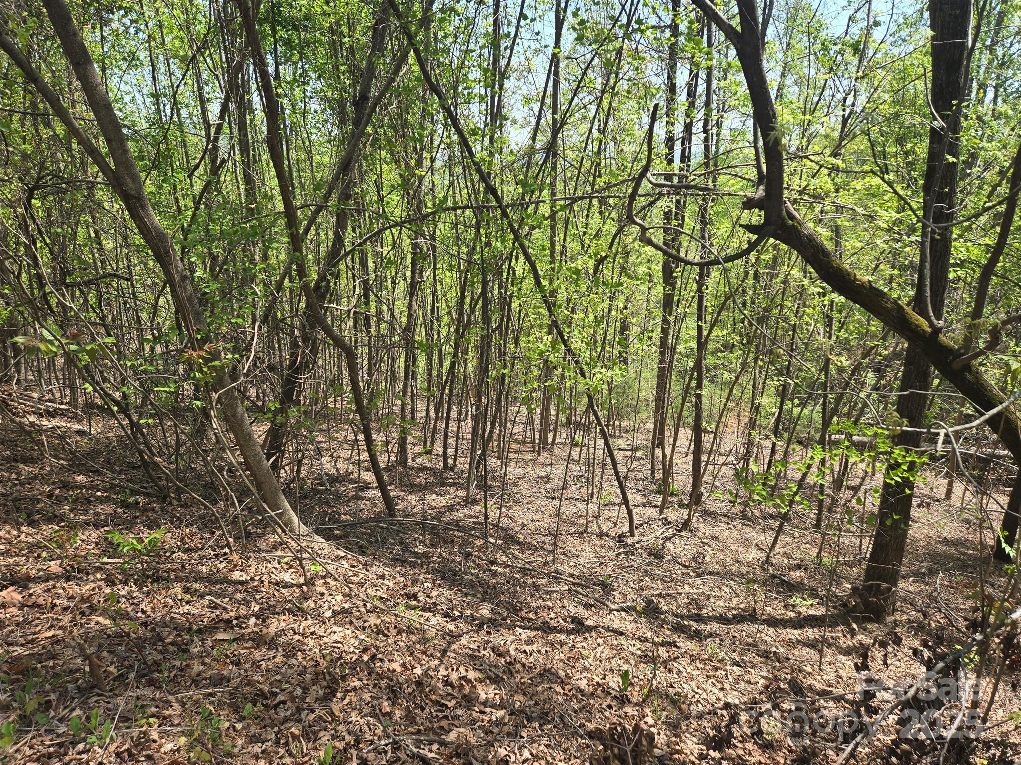 Lot 25 High Rock Ridge Property Photo 7