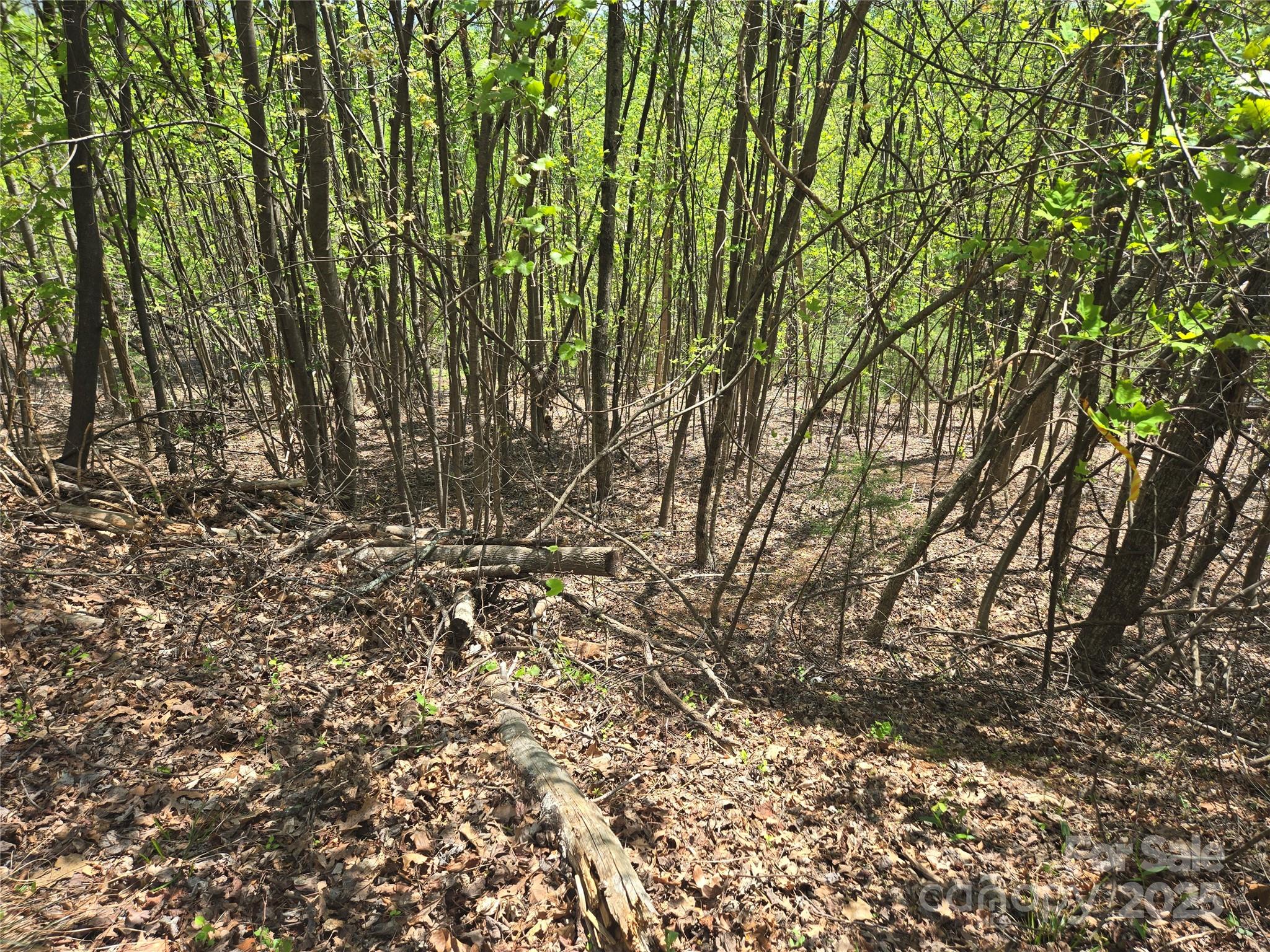 Lot 25 High Rock Ridge Property Photo 10