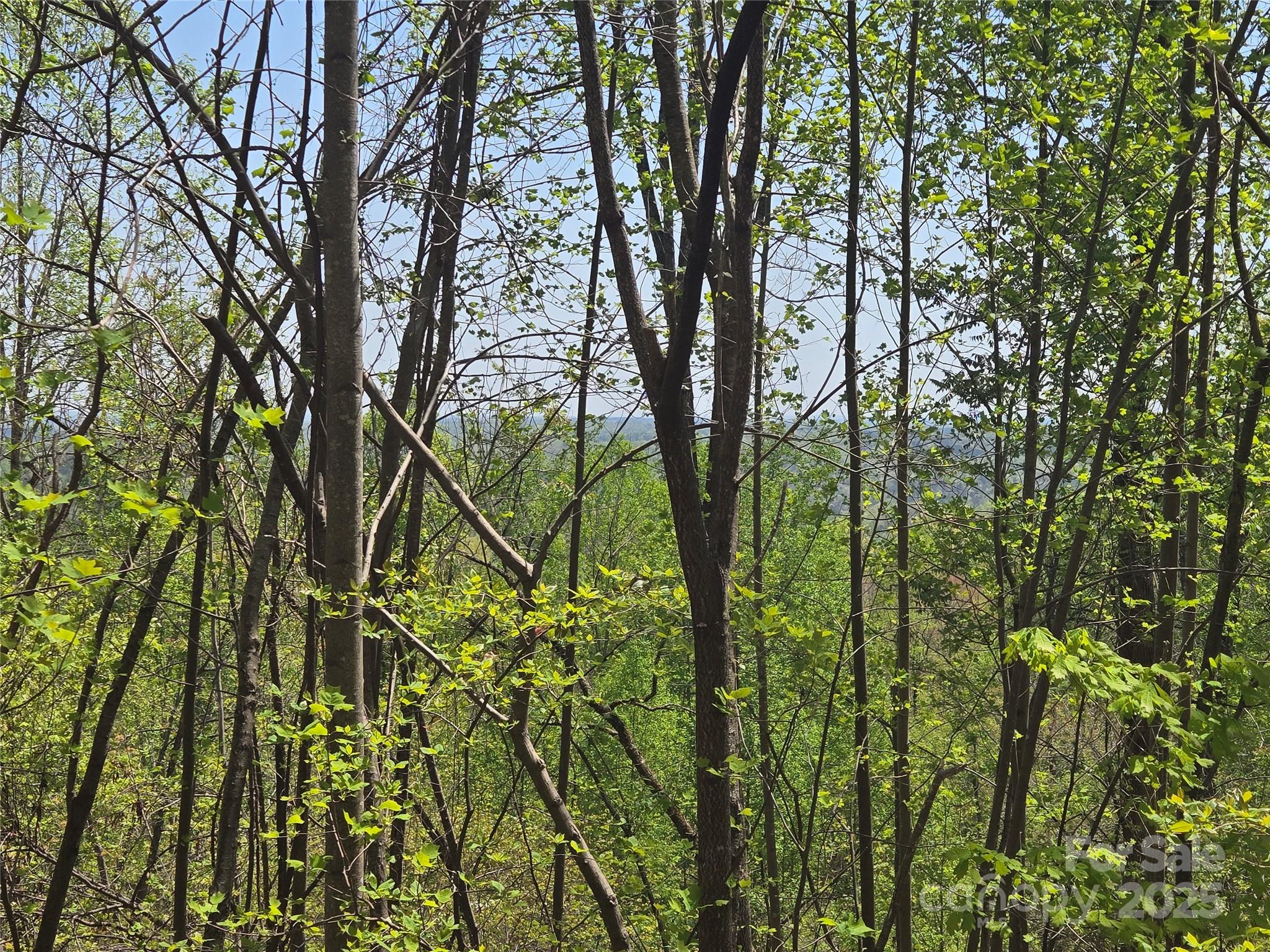 Lot 25 High Rock Ridge Property Photo 11