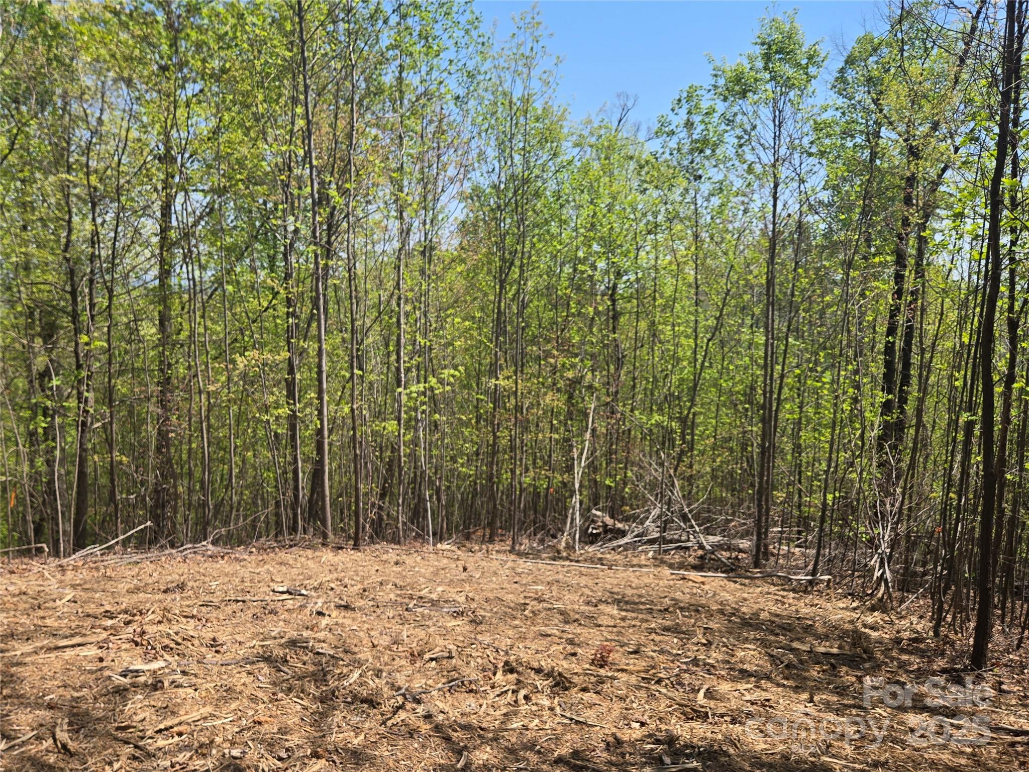 Lot 32 High Rock Ridge Property Photo