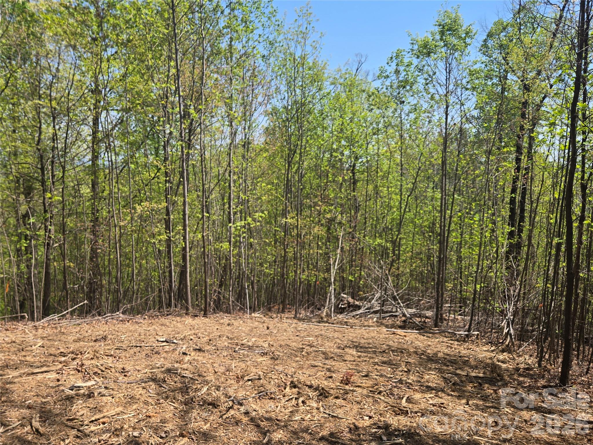Lot 32 High Rock Ridge Property Photo 1