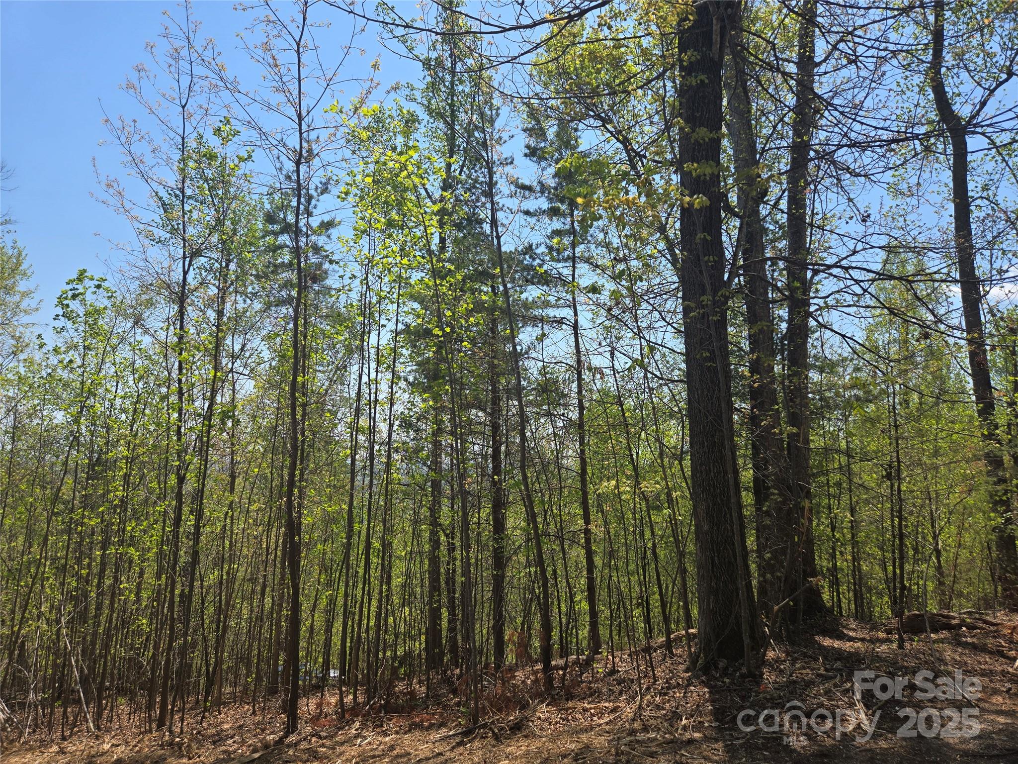 Lot 32 High Rock Ridge Property Photo 2