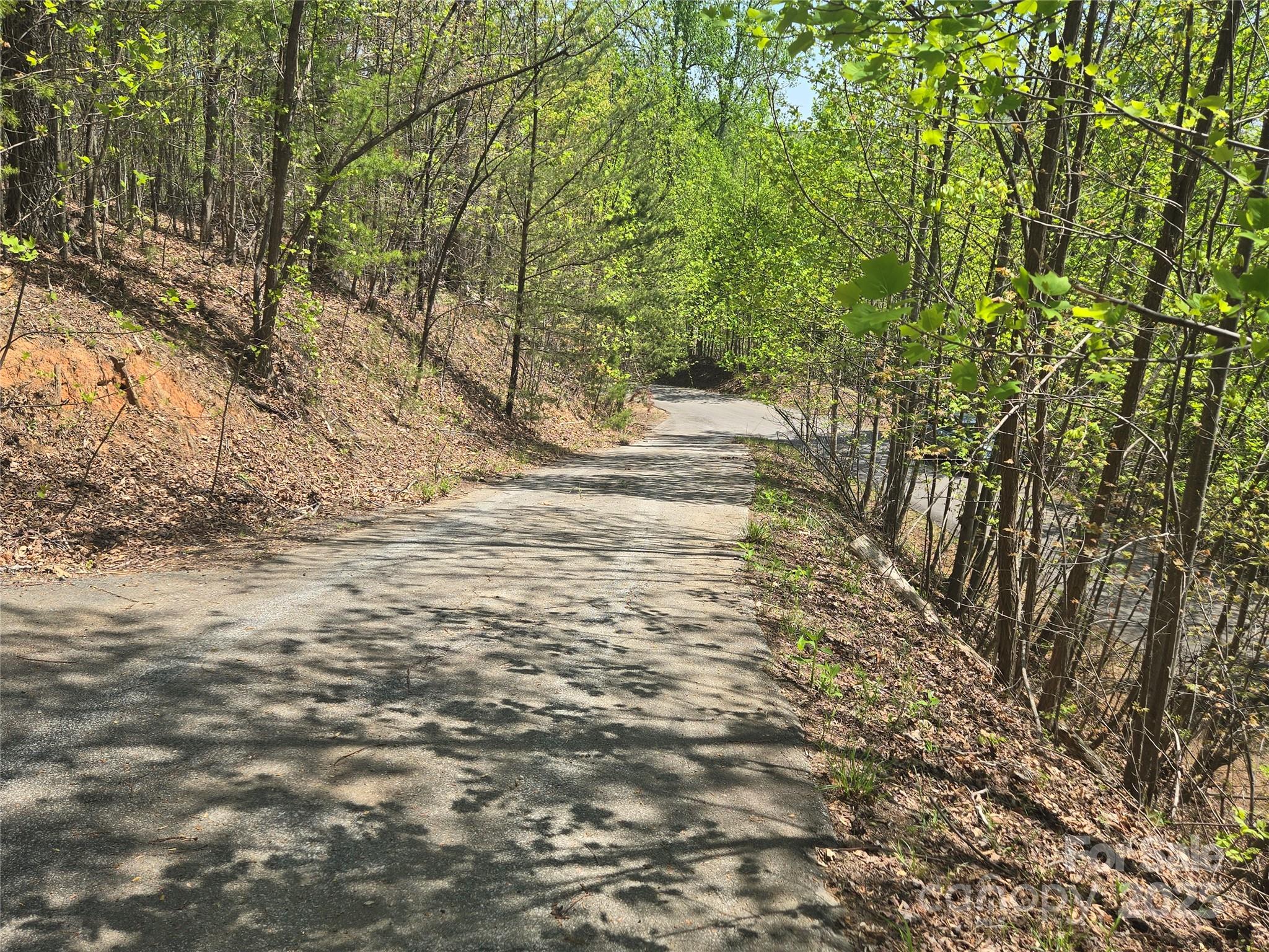 Lot 32 High Rock Ridge Property Photo 4