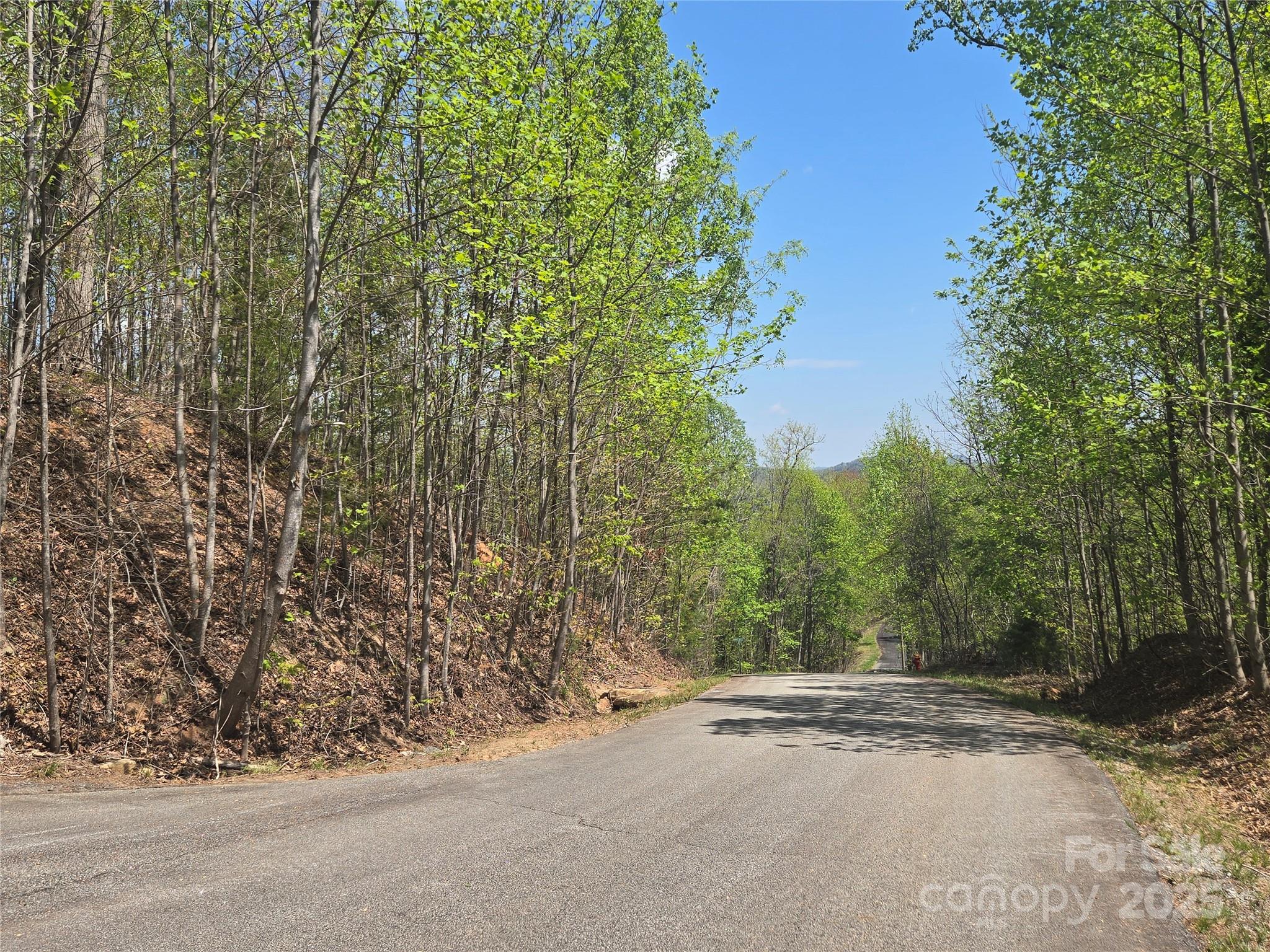 Lot 32 High Rock Ridge Property Photo 6